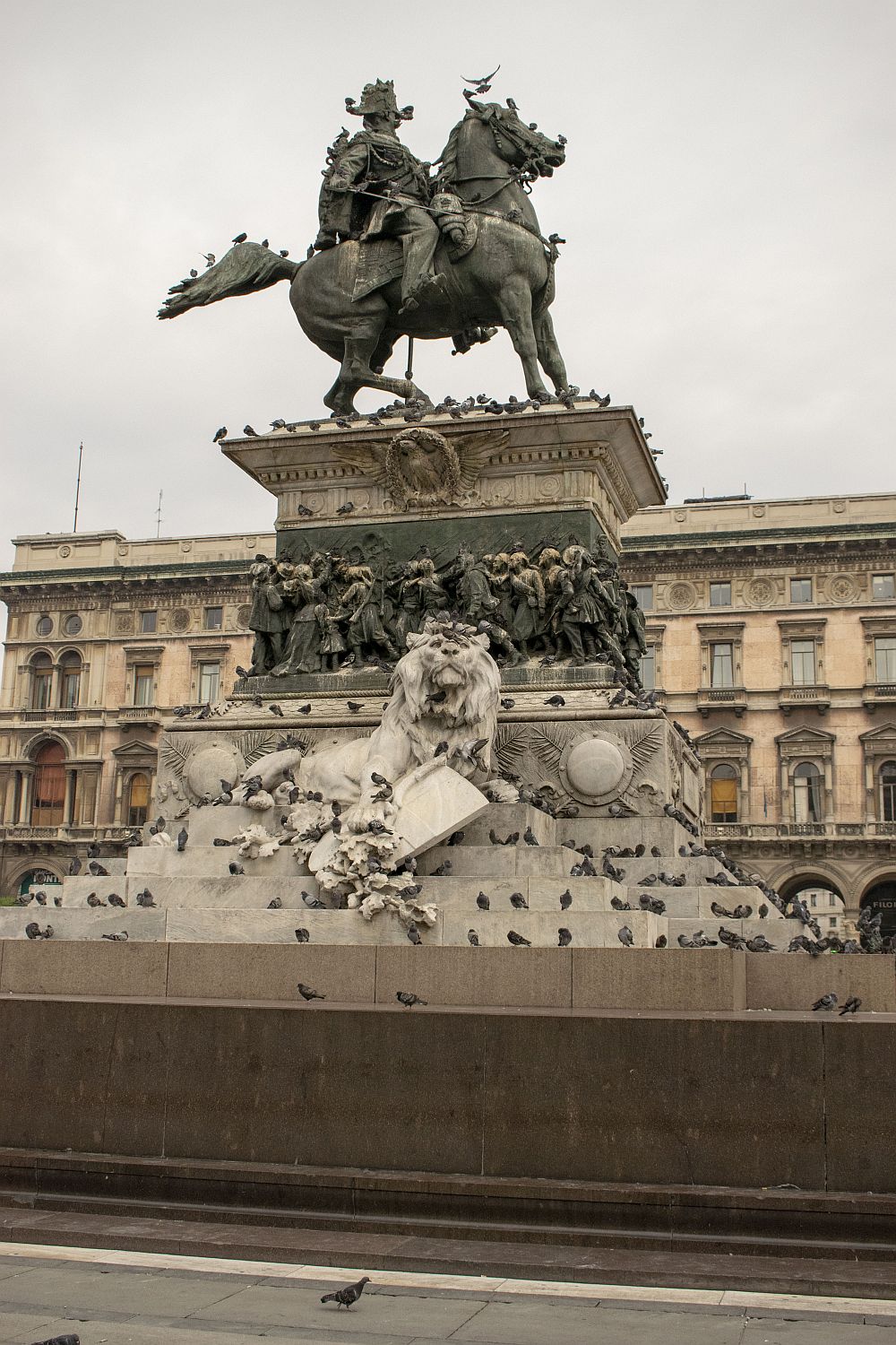 Maledetti piccioni...