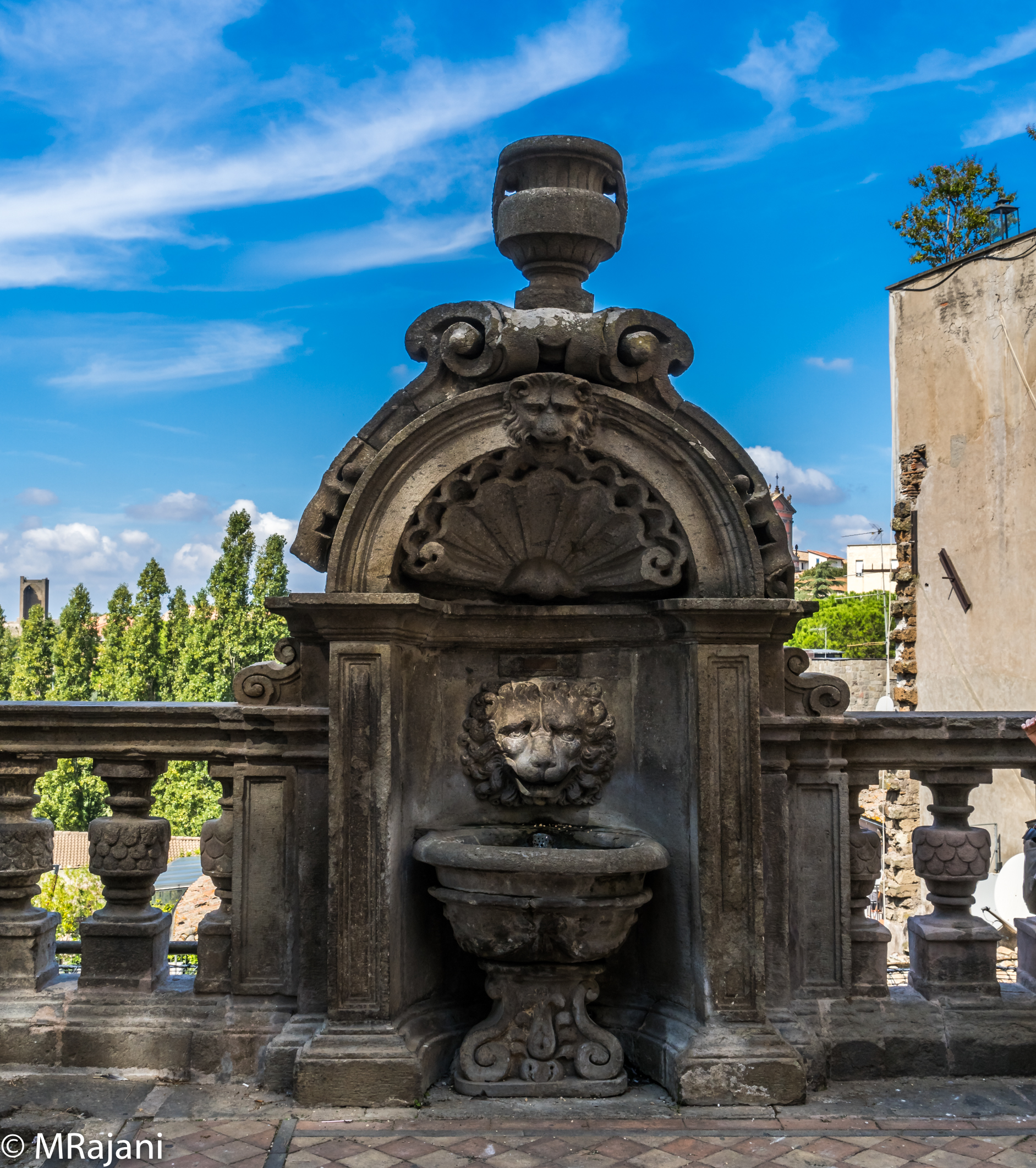 Viterbo: Lion's Head