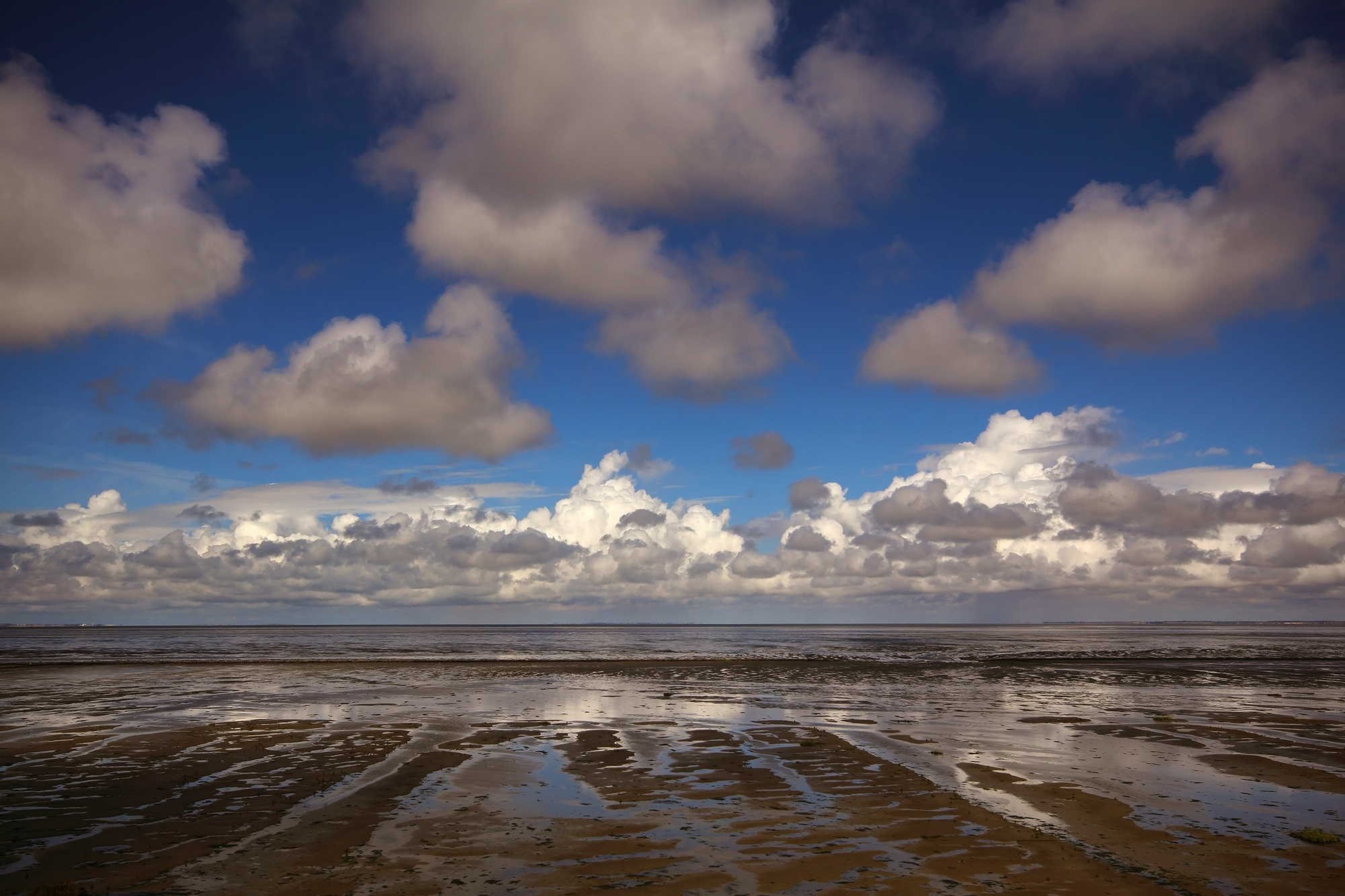 The Where the sea is mud