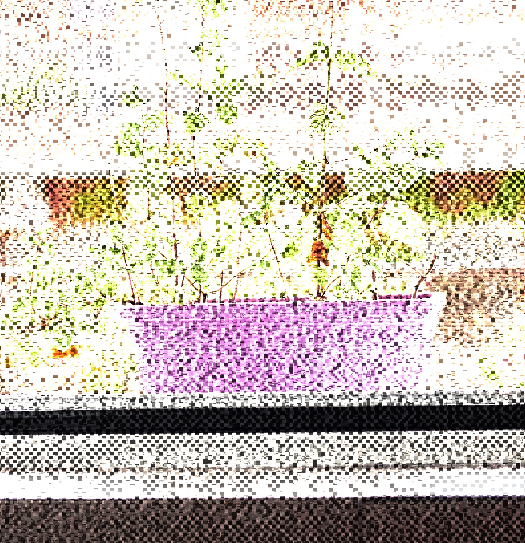 Capture one processing