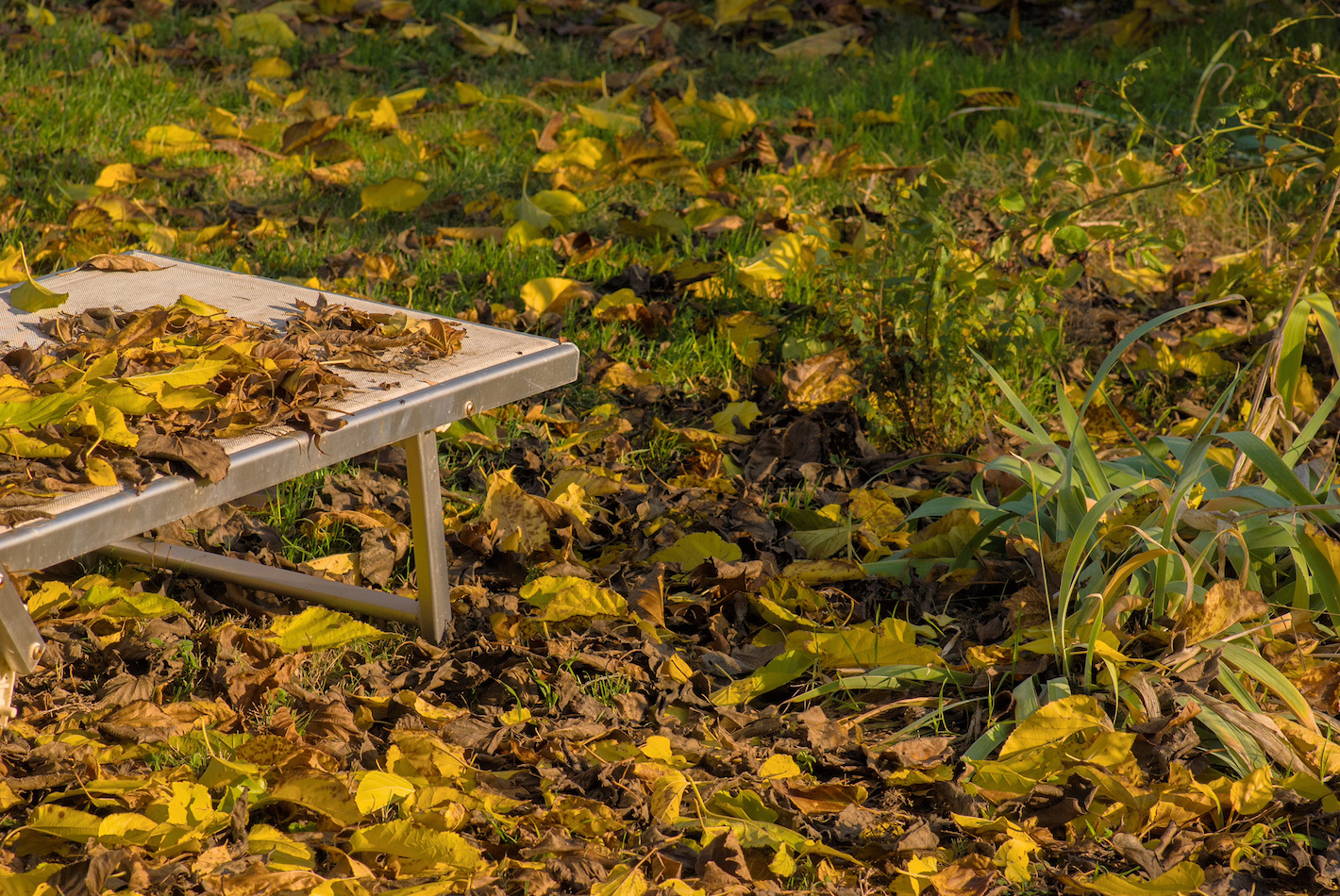 Put away the bed Luca!