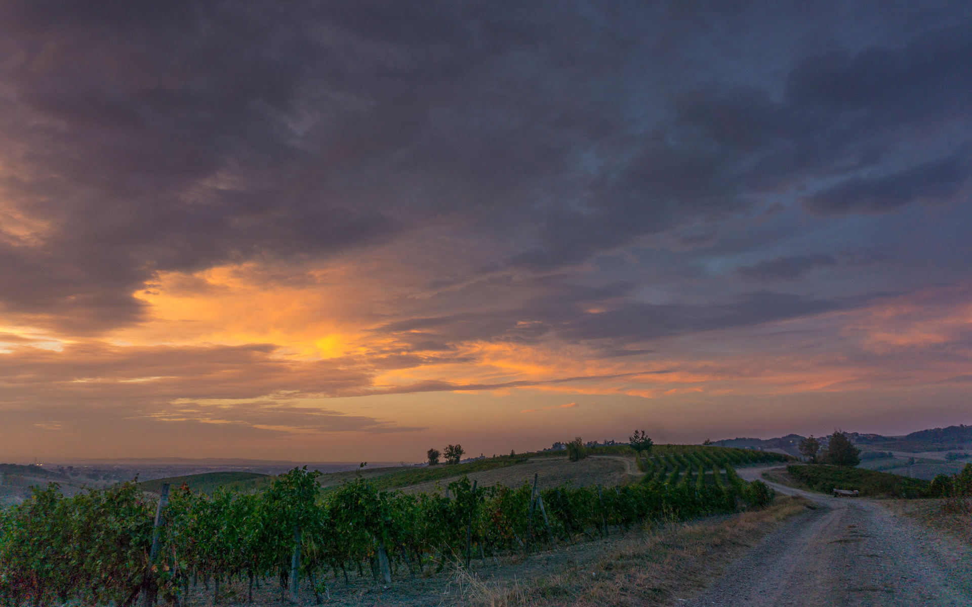 Colli tortonesi-07-10-18