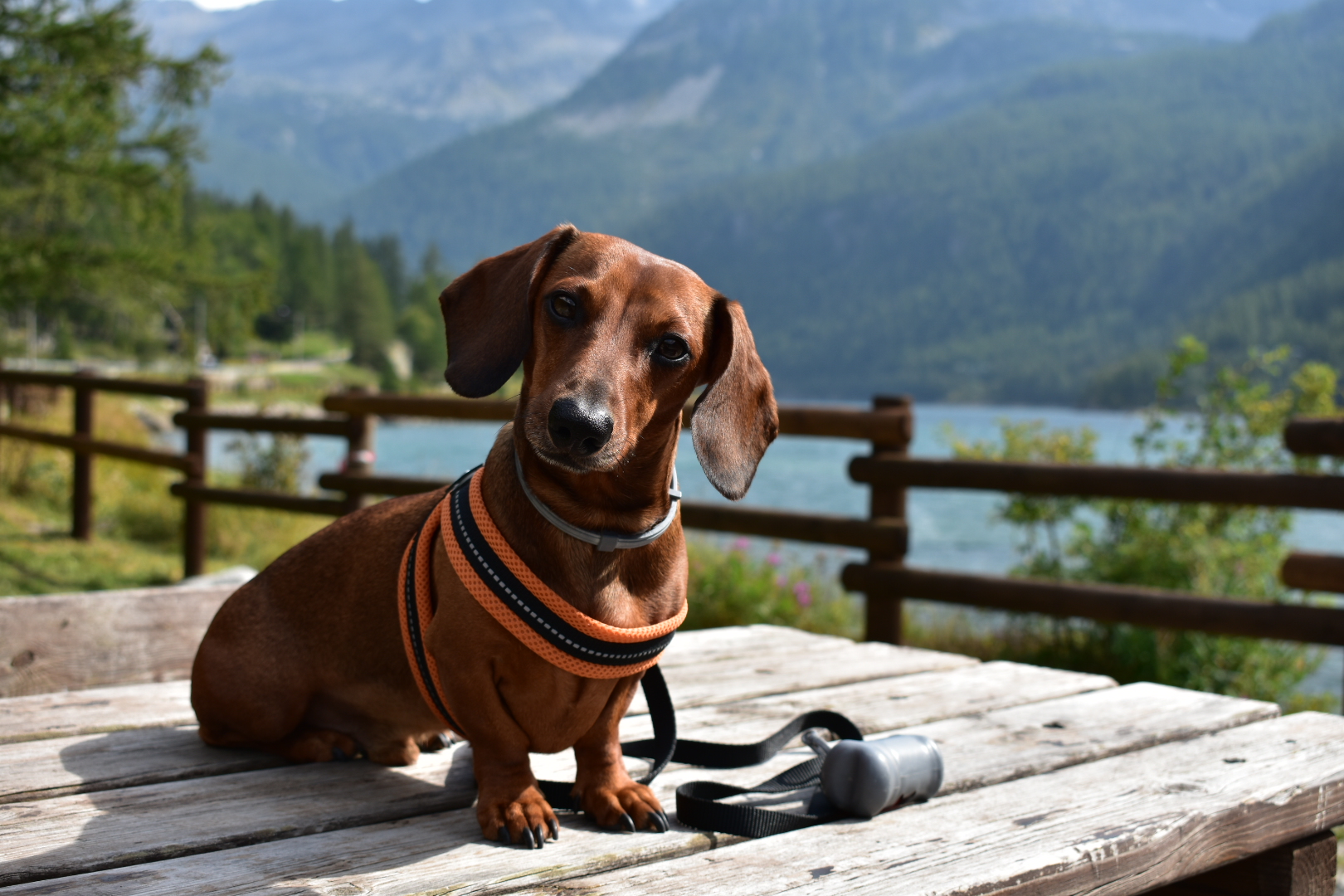 Hai intenzione di lasciarmi qui?