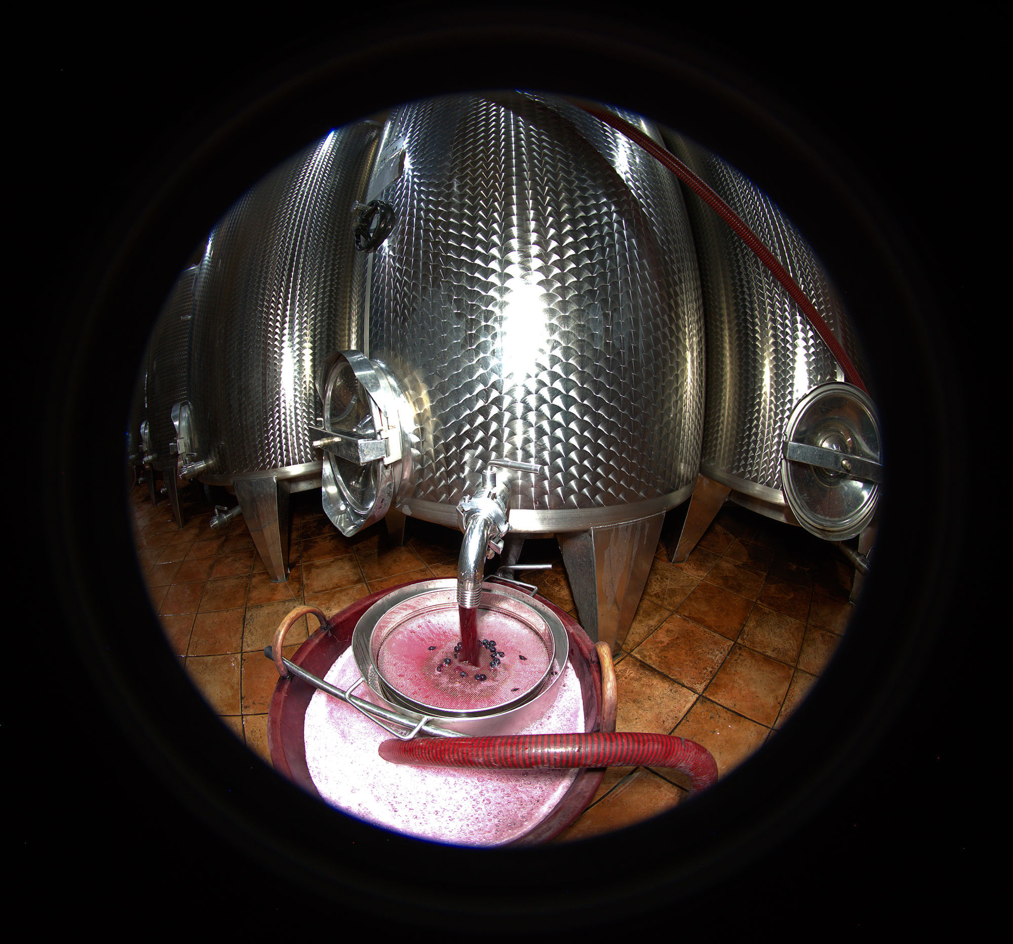 My work... Nebbiolo di Dronero... Desmentià