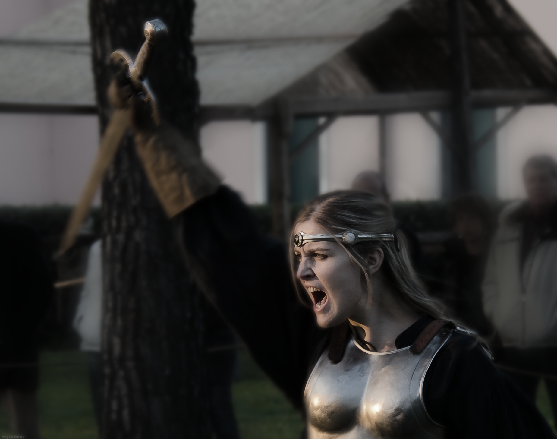 Antica Fiera di S.Lucia di Piave