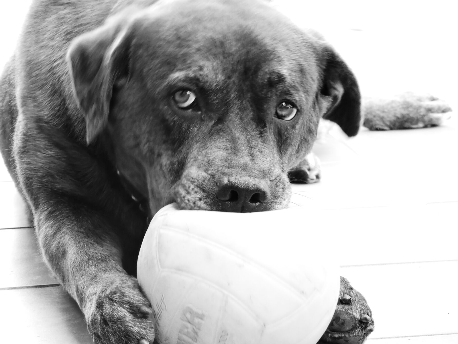 By enjoying the ball...