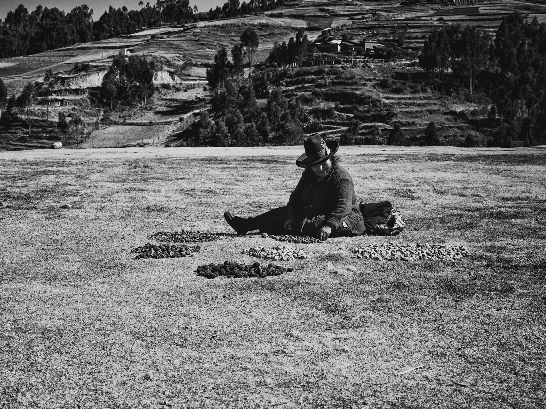 The Nativas de Chiloe Papas need attentions