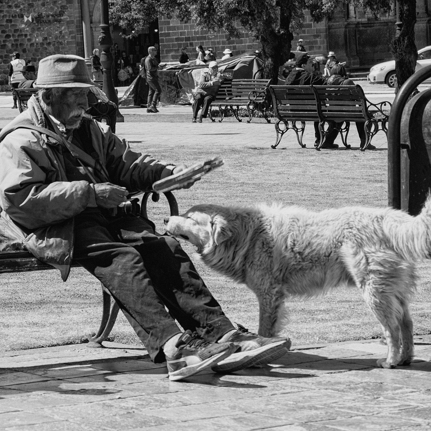 Momenti di gioco in Plaza de Armas