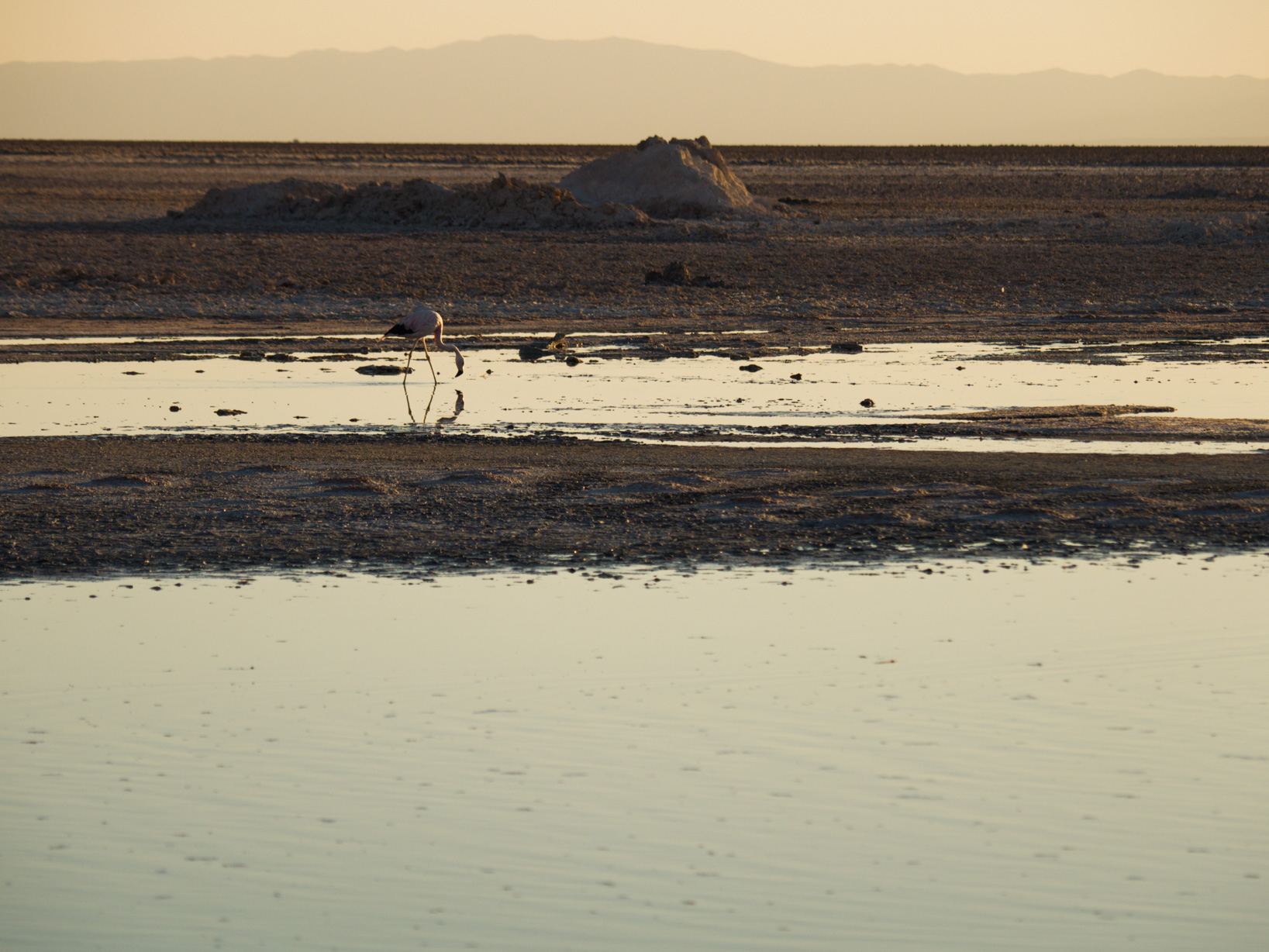 Sunset at the Chaxa Lagoon