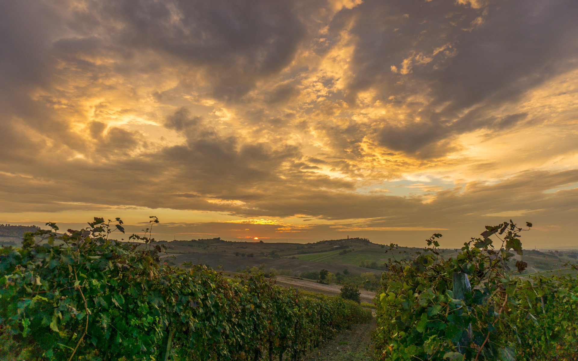 Colli tortonesi-08-10-18