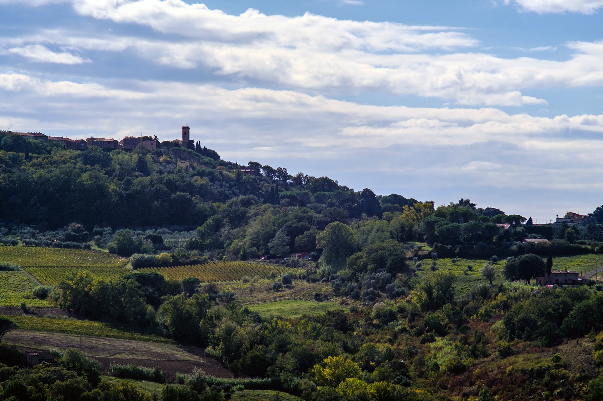 Montescudaio da Casaglia (pi).