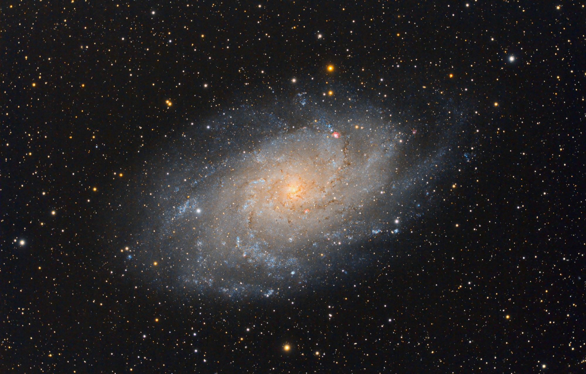 The galaxy M33 Triangle