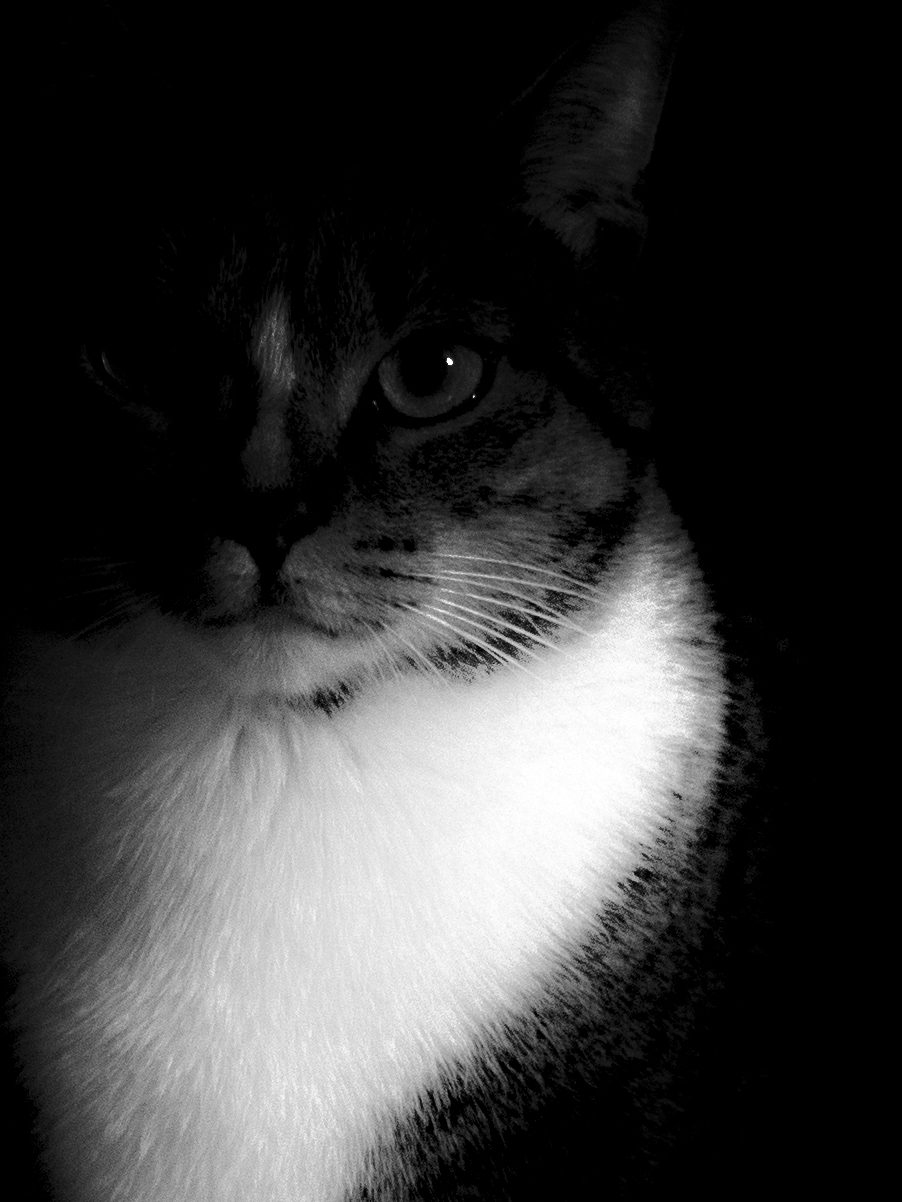 Nel buio più profondo