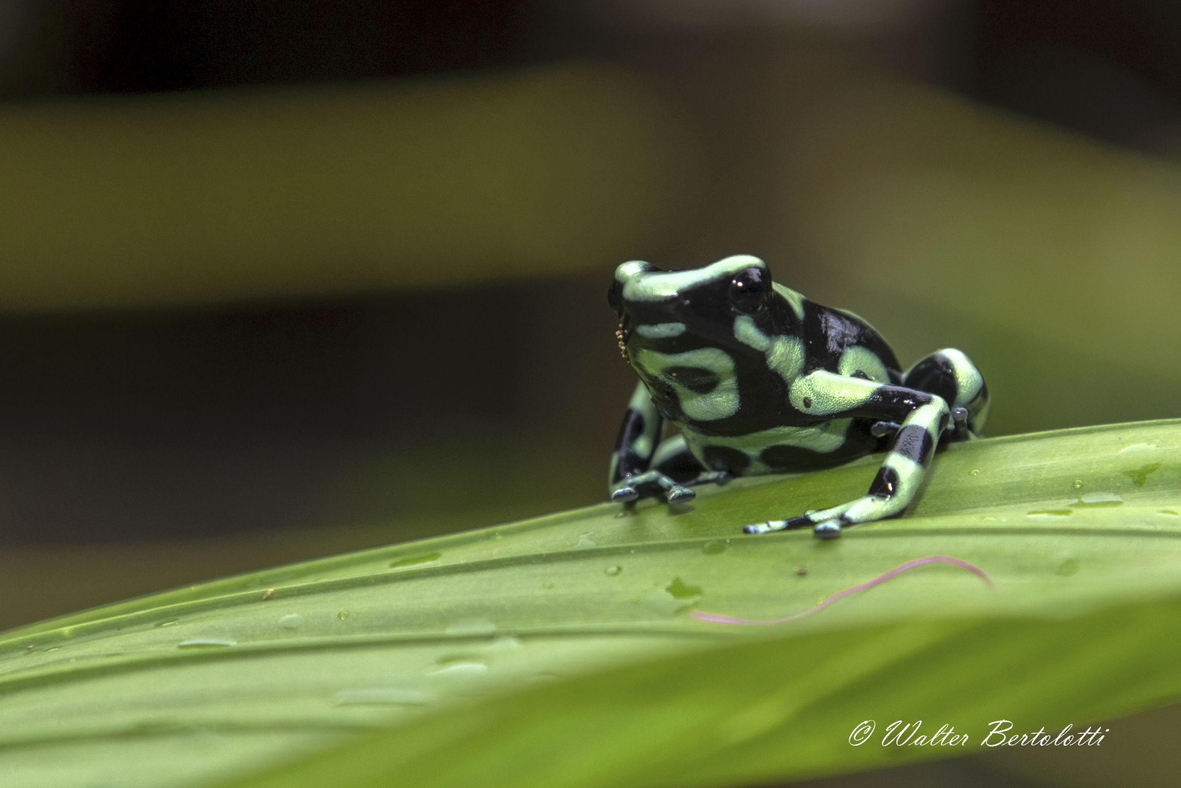 In patient observation