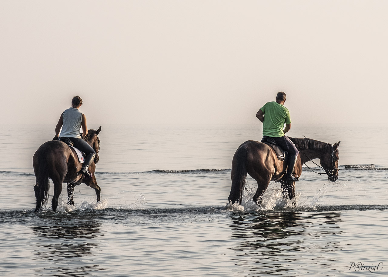 __versol ' Infinity __