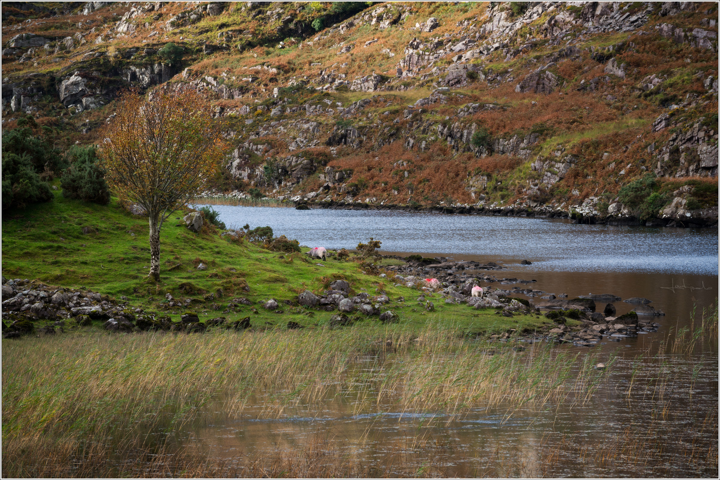 Gap of Dunloe