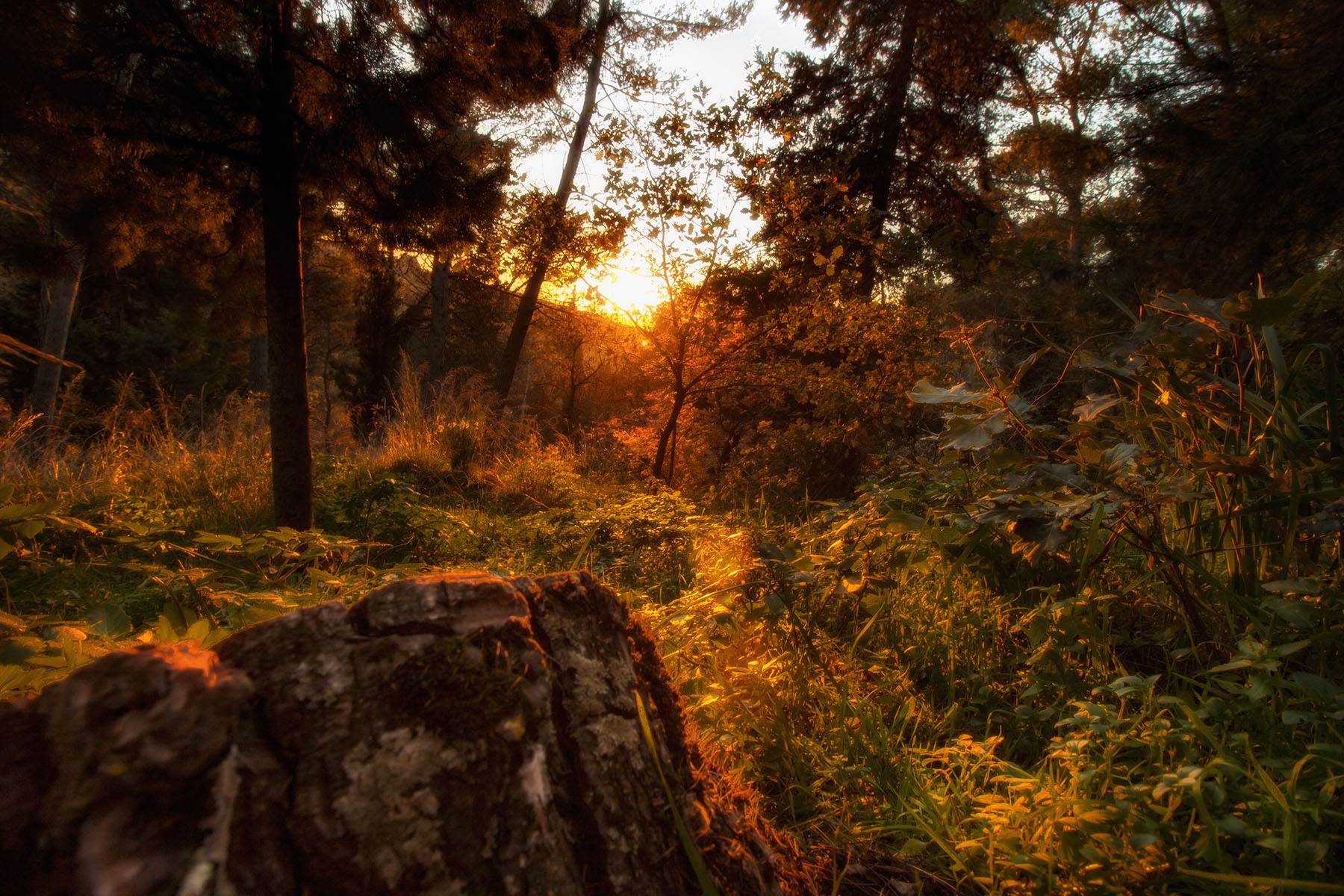 Dal tramonto all'alba