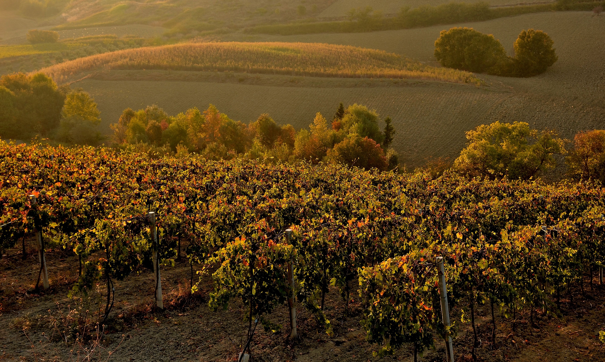 Each season from its fruits