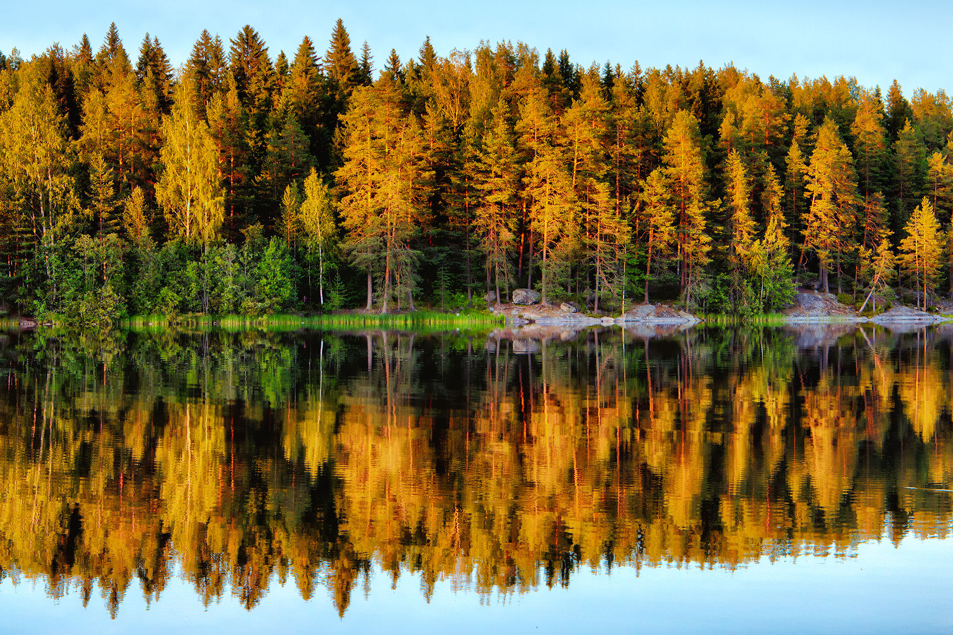 Quasi perfette, simmetrie