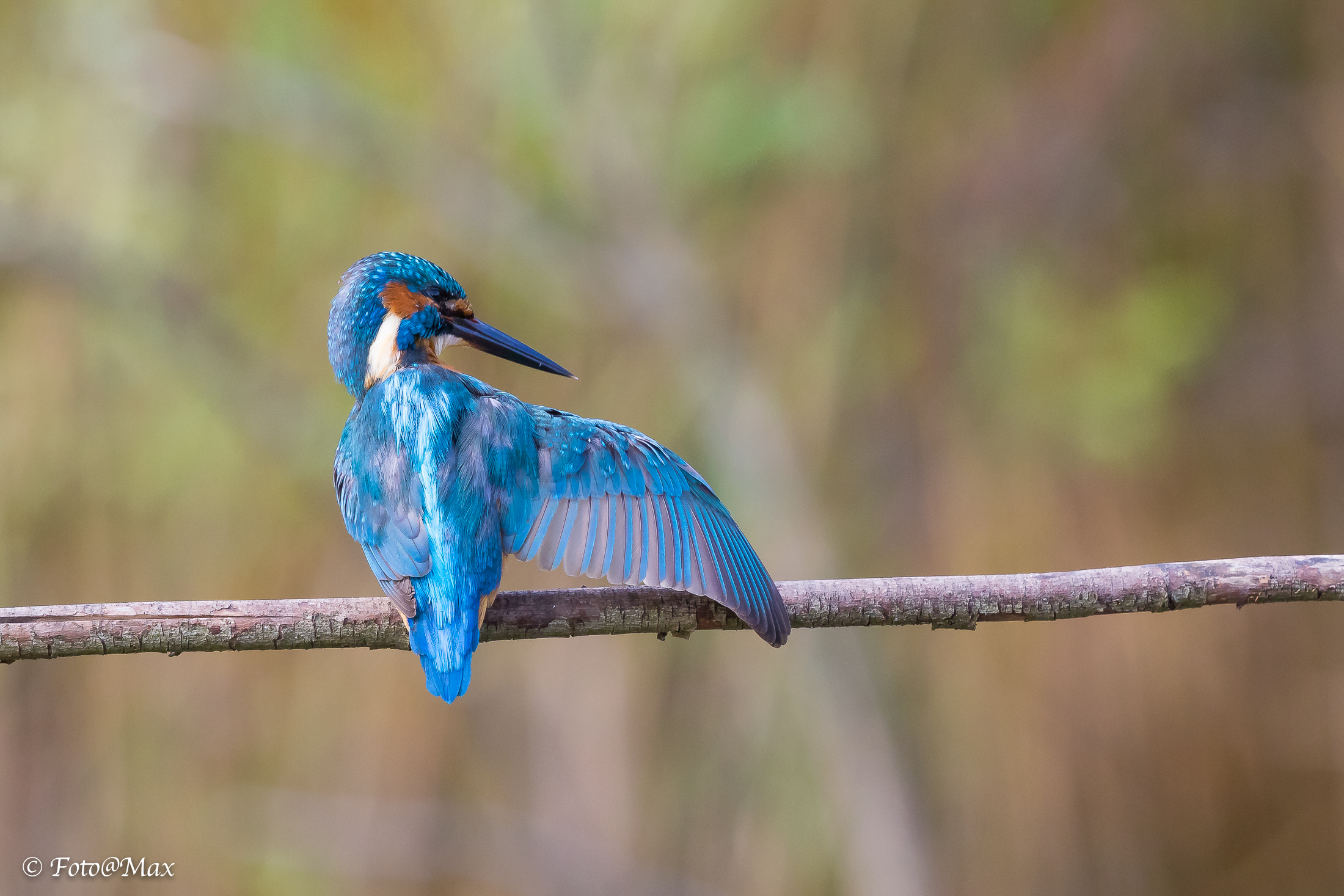 braccio destro funzionante