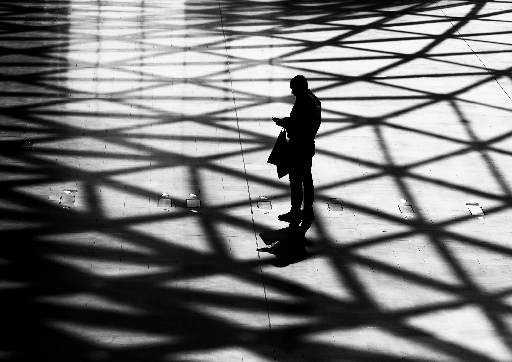 Imprigionato nella rete