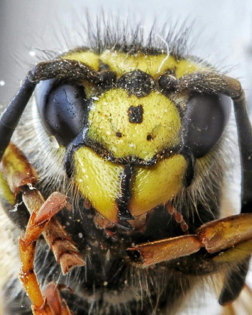 Guardami negli occhi