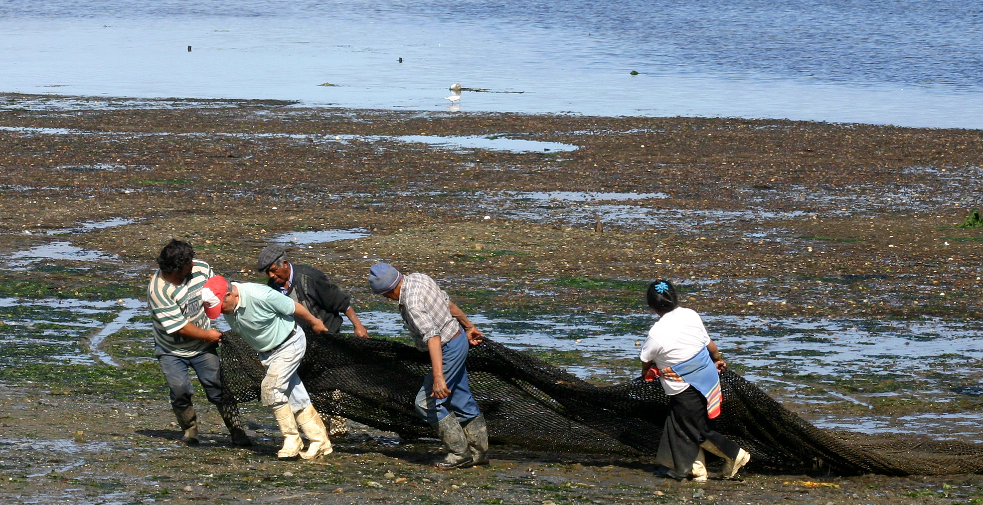 Isola di Chiloe Cile