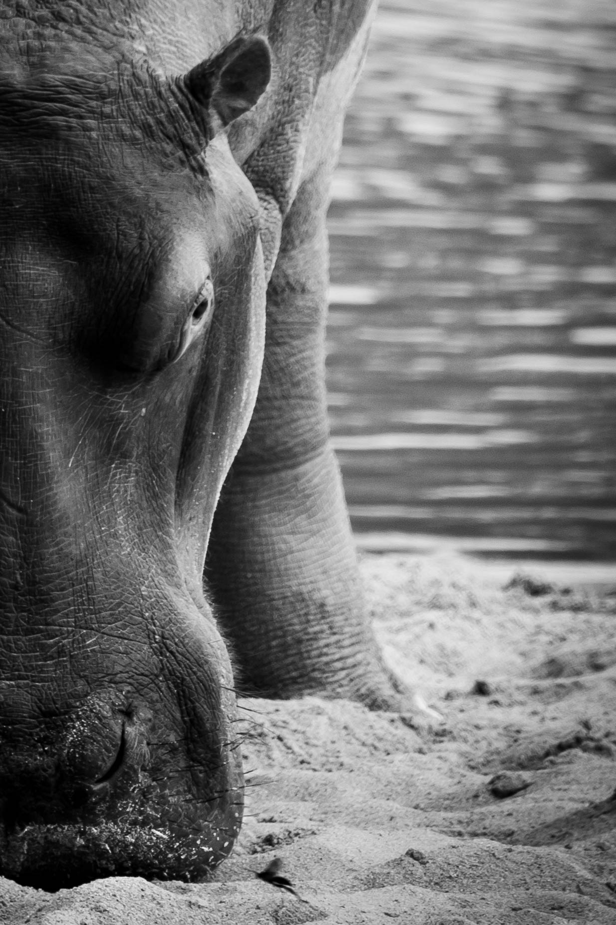 Difesa del territorio