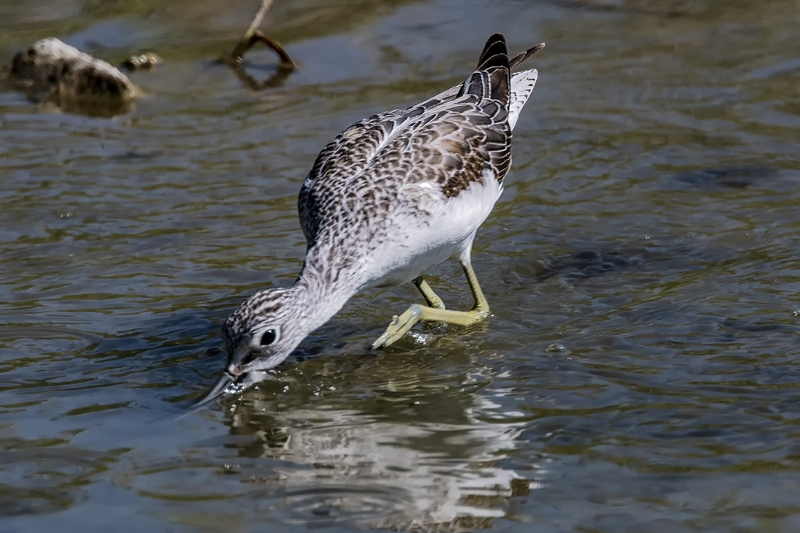 But you're going, you know...