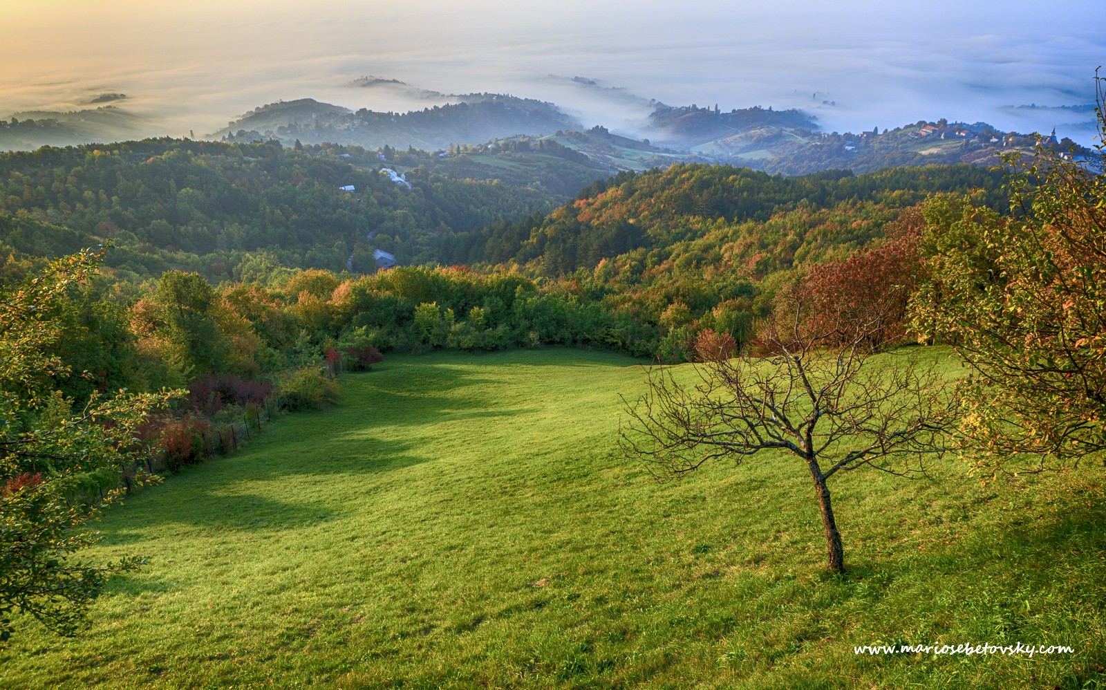 Autunno in pieno svolgimento