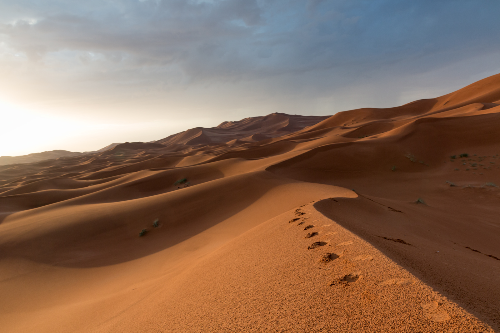 A Walk in the desert