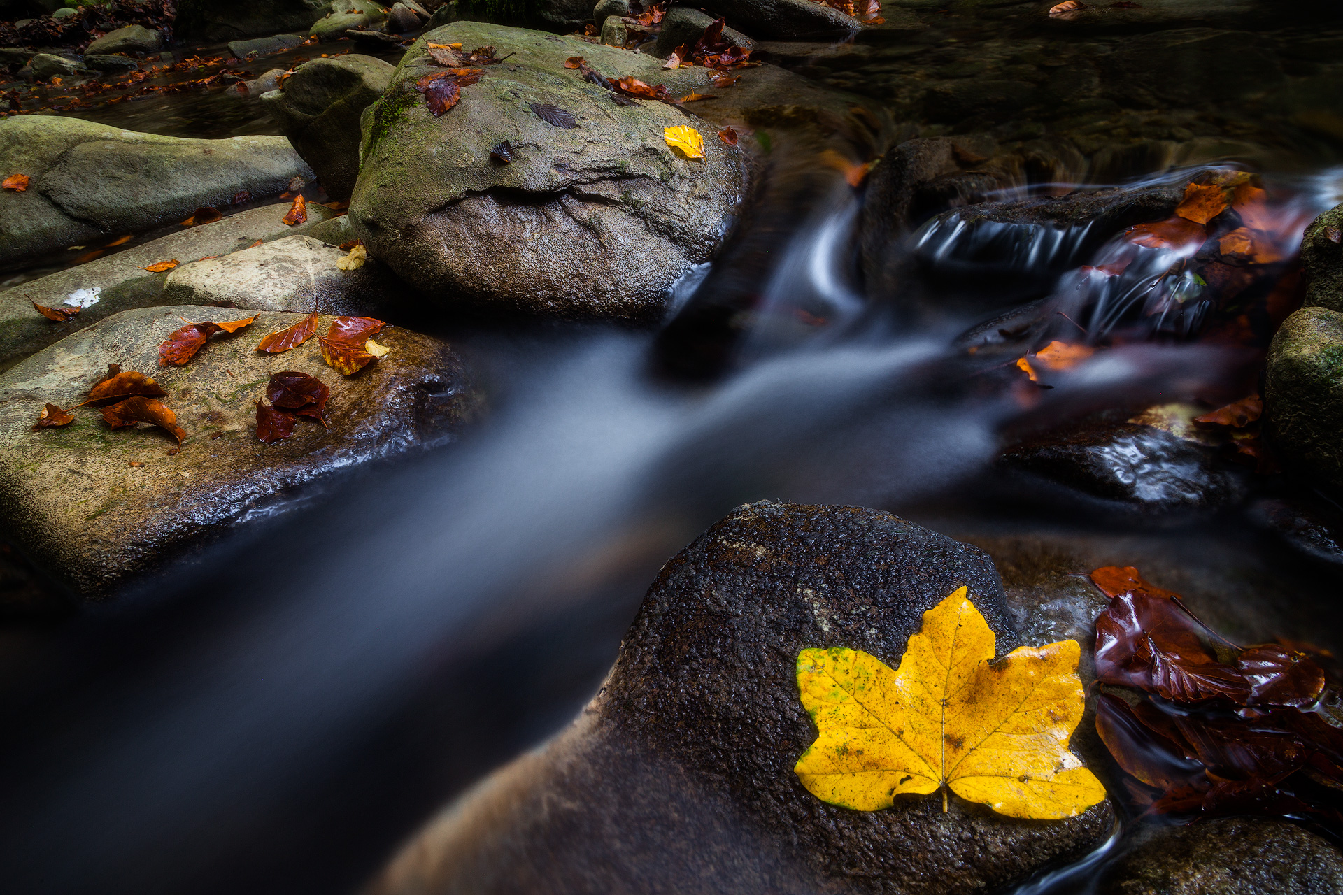 Semplicemente autunno