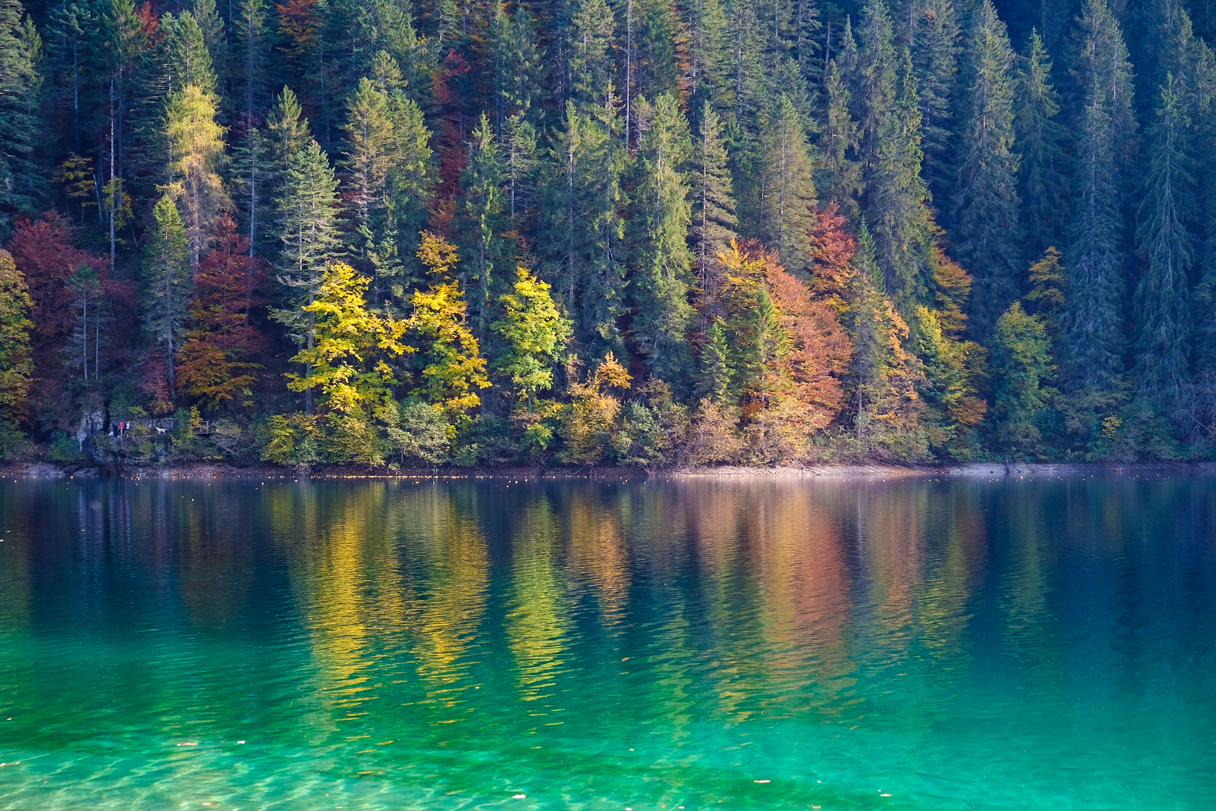 Riflessi autunnali a Tovel