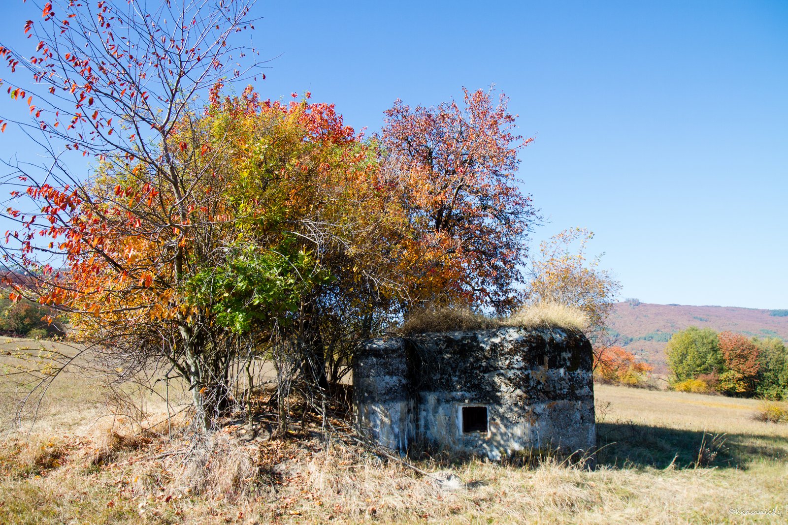 Bunker di calcestruzzo Dall'Anno 1937