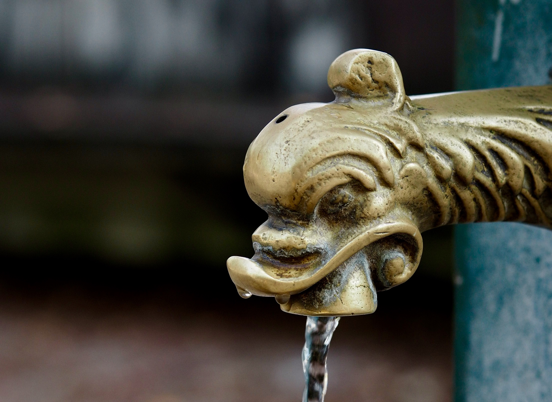 The green Dragon with the drop to the nose