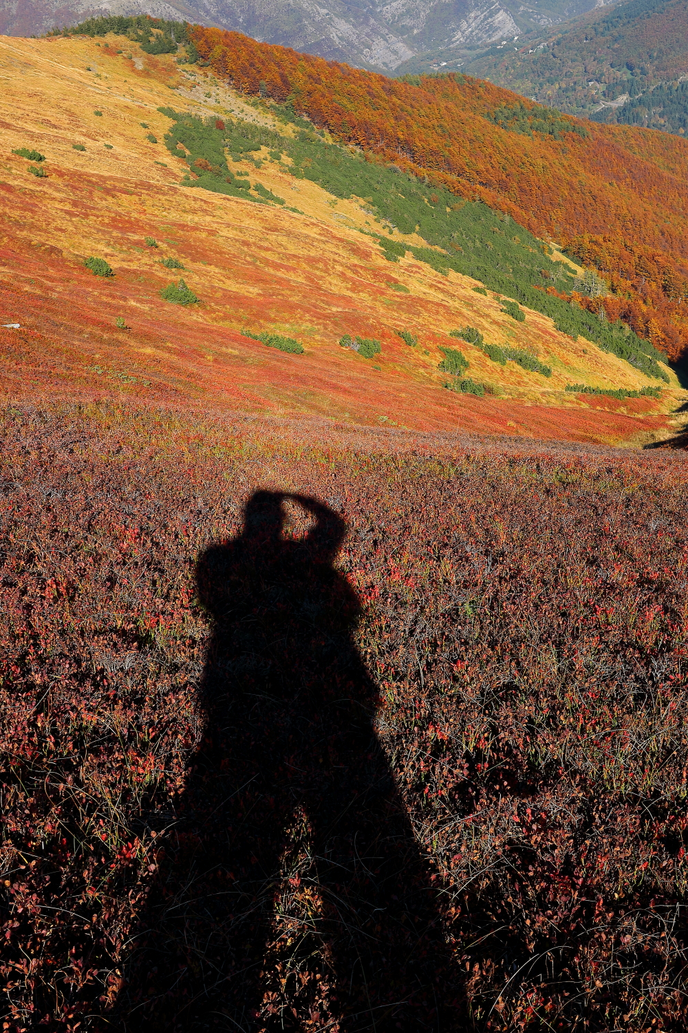 The shadow of the photographer