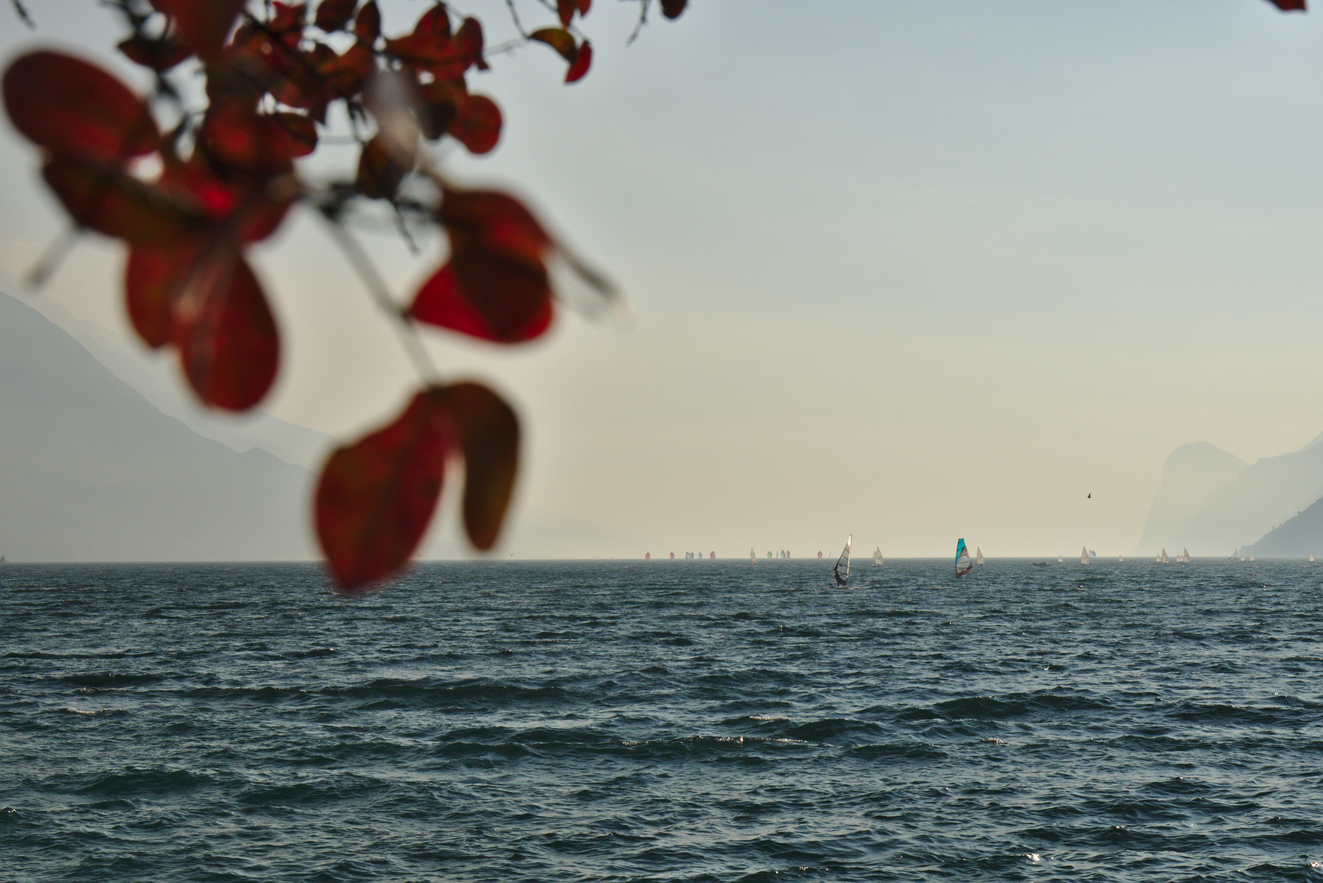 Autumn Sails