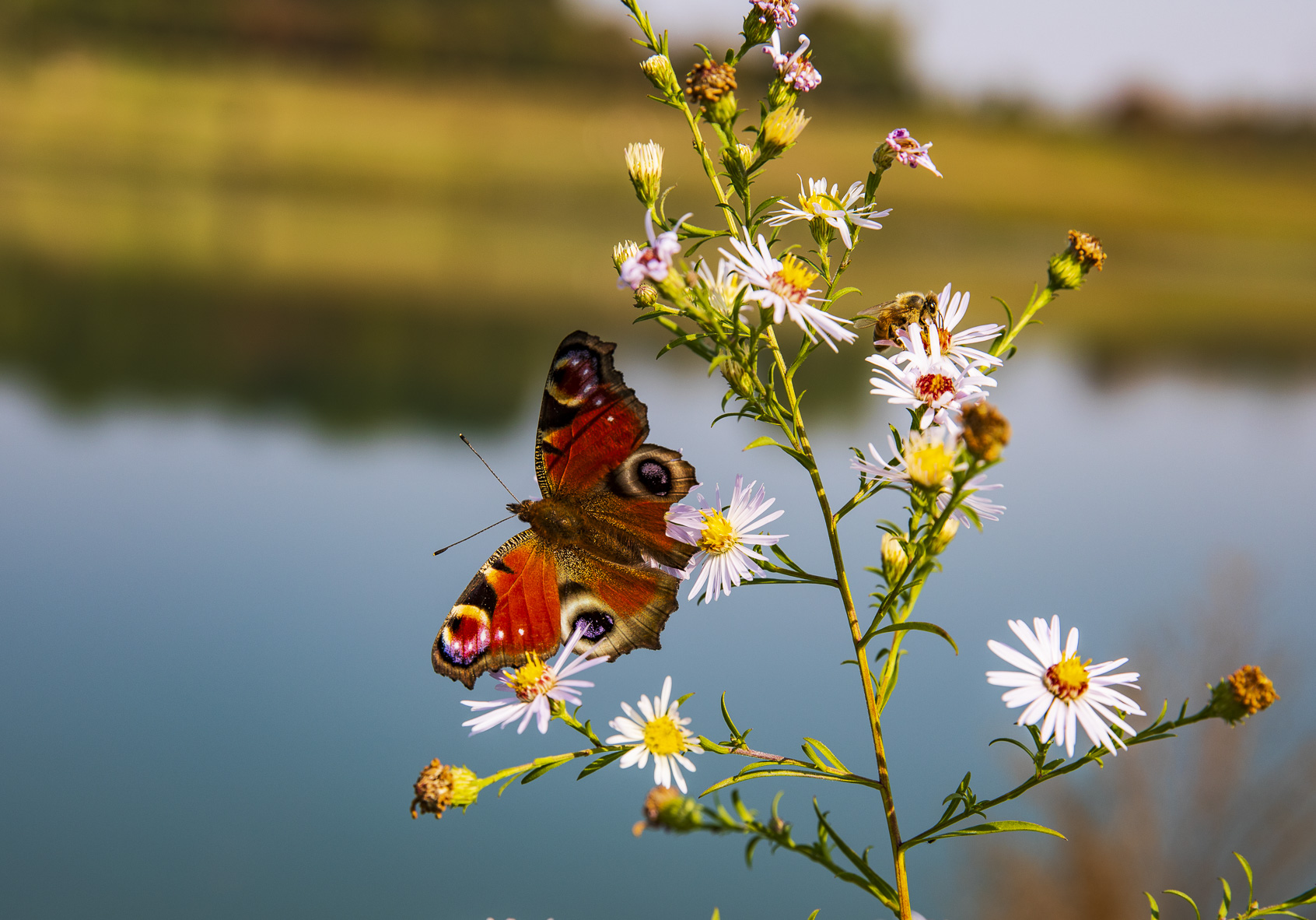 Una giornata d'autunno