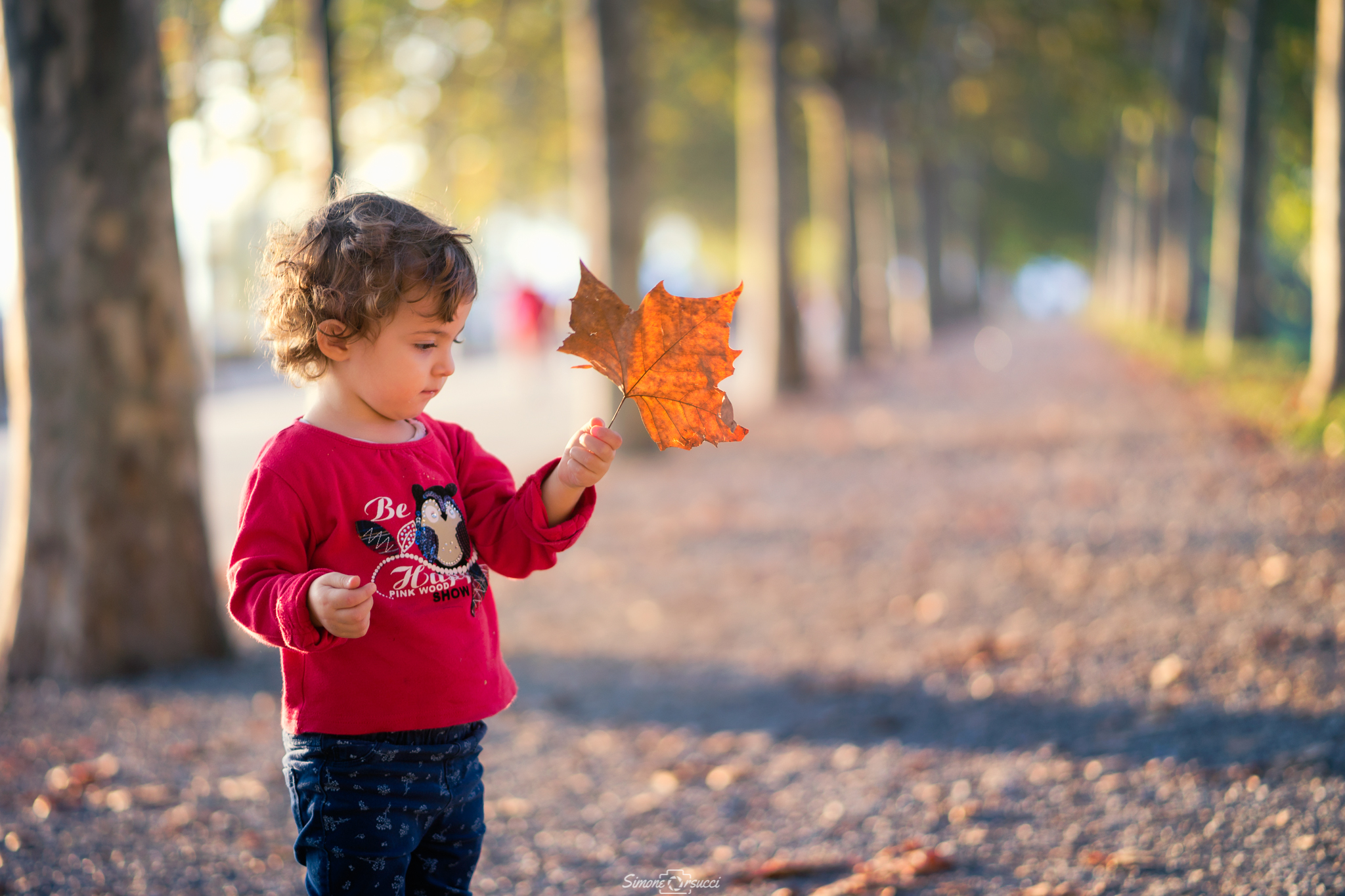 Alice and the Autumn