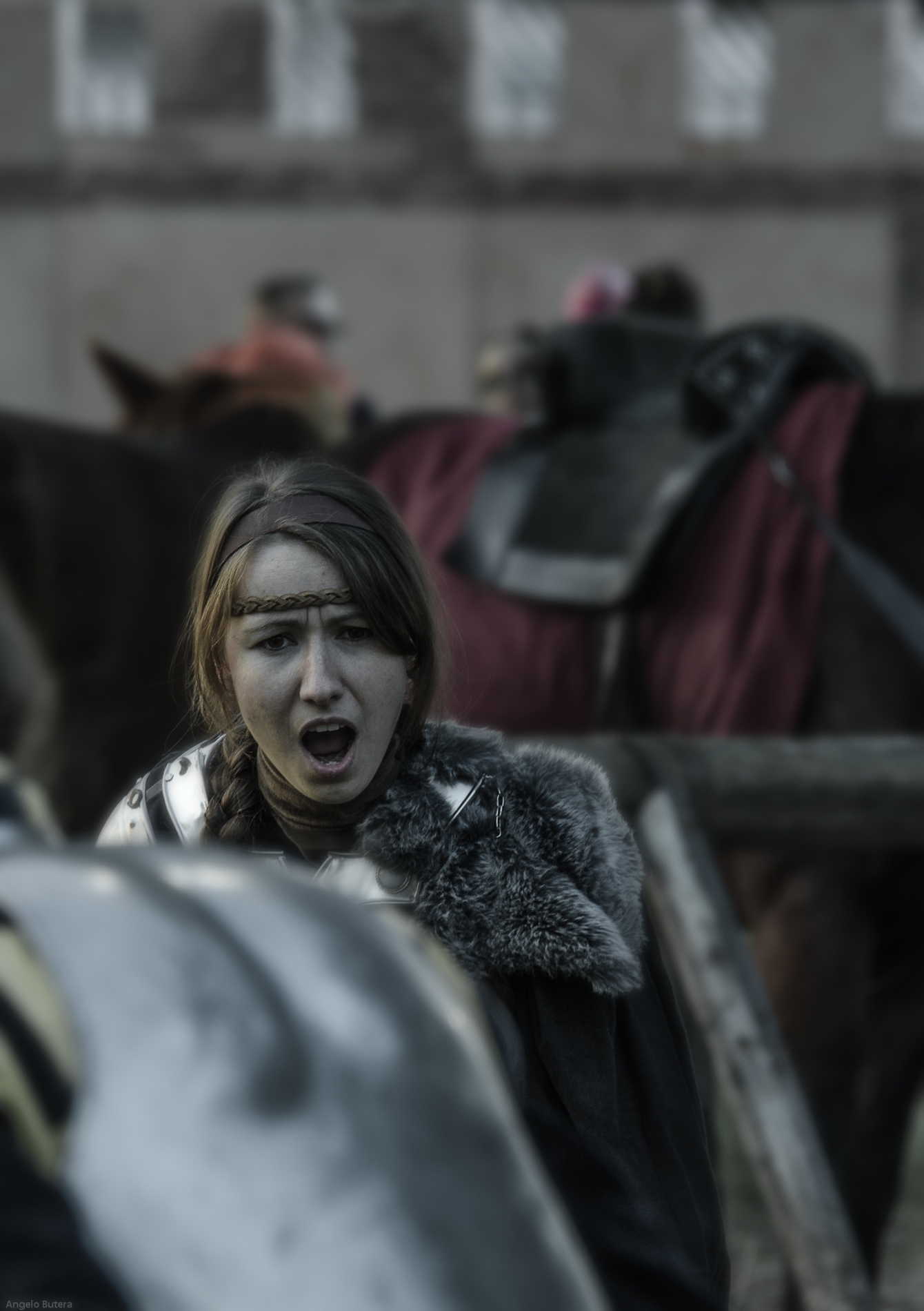 S.Lucia di Piave antica fiera