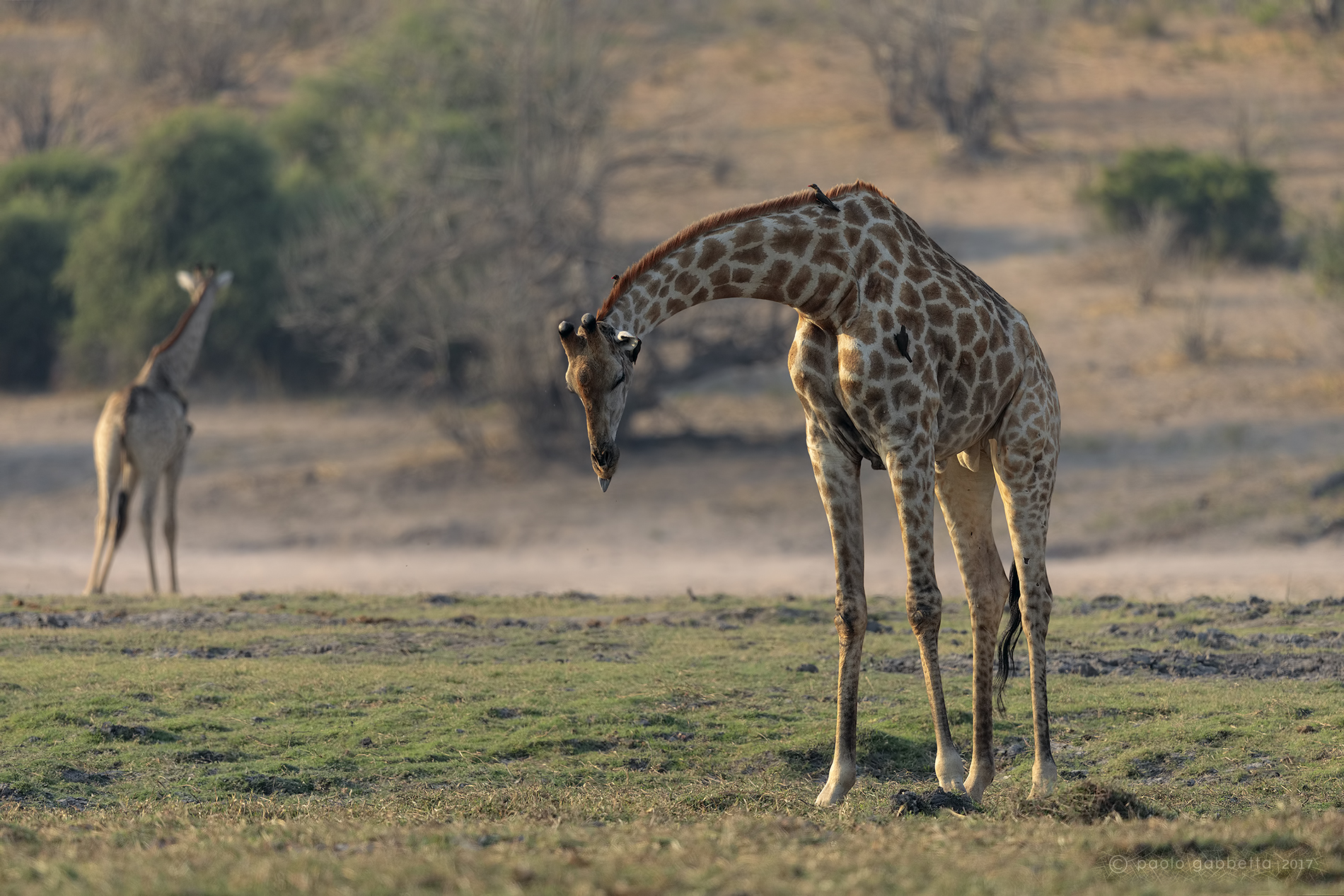 Ho sonno...ma che sonno!!