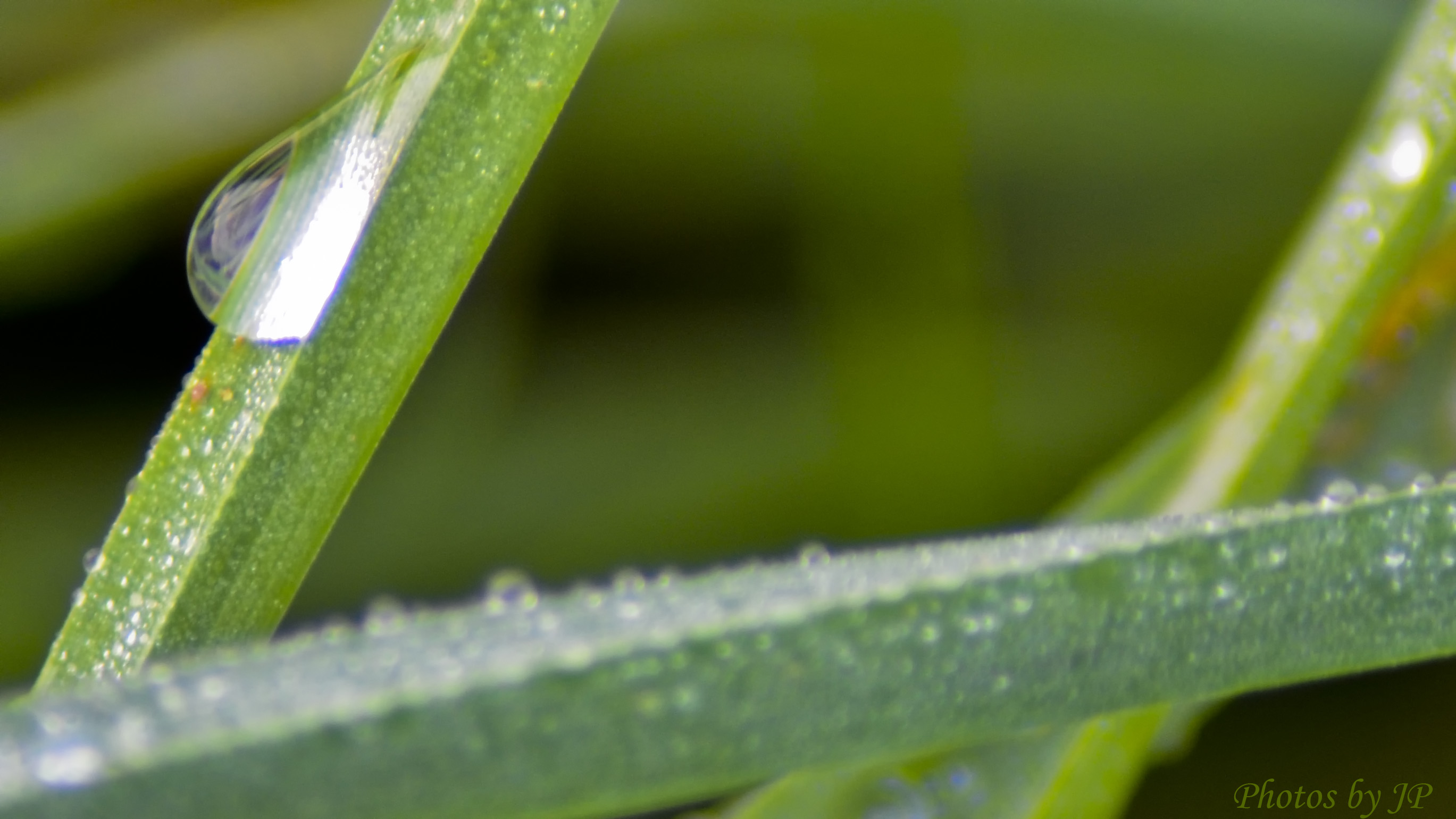 Effetto pioggia notturna