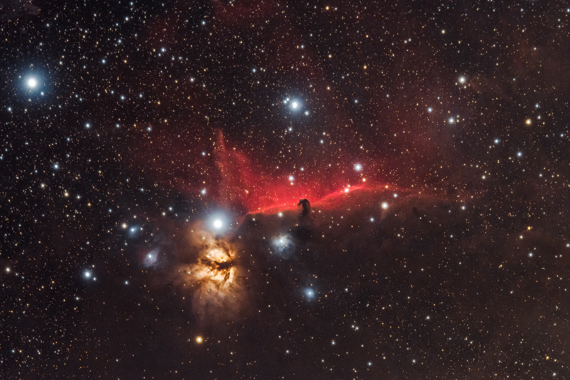 Nebulosa Testa di cavallo