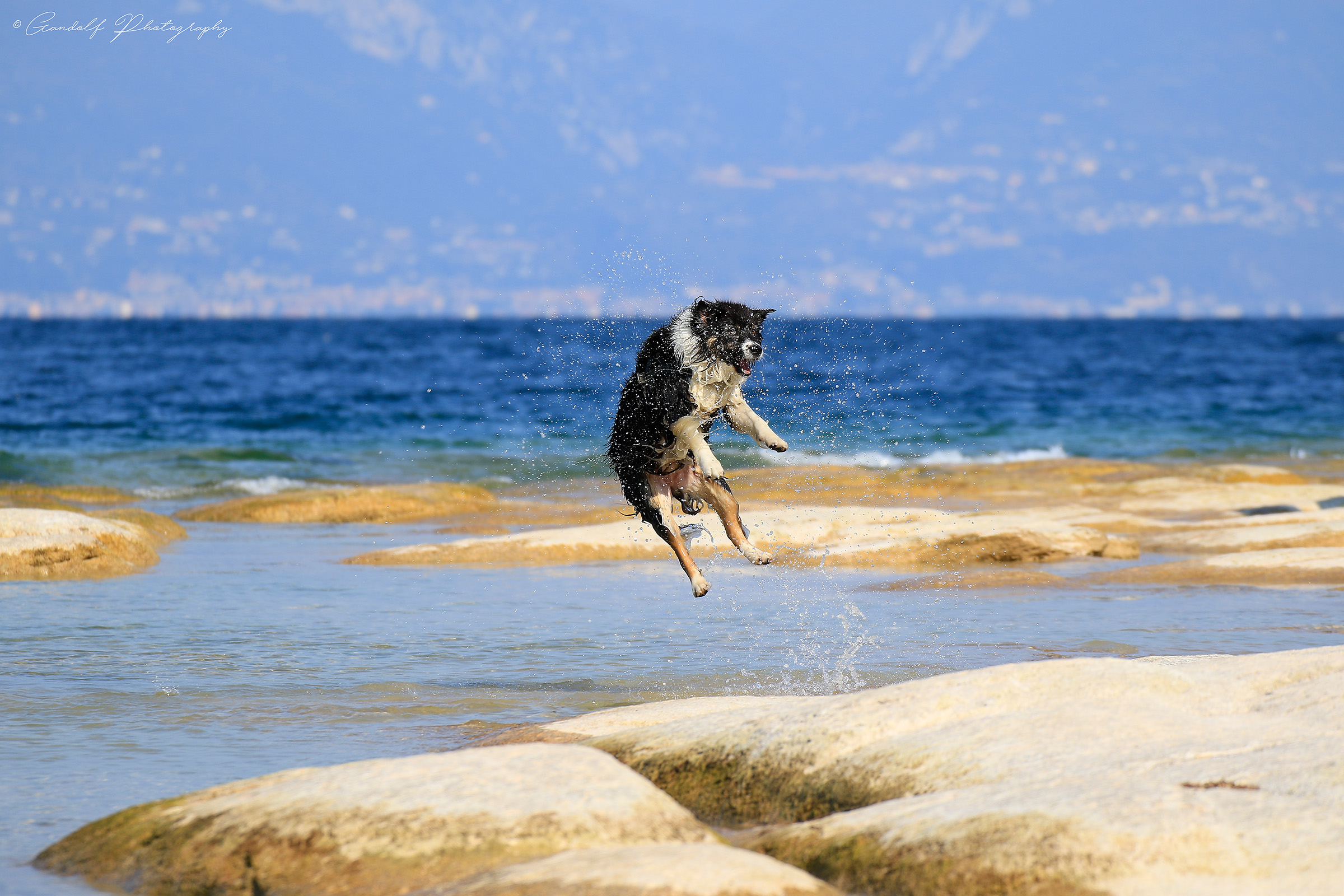 Quattro salti al lago