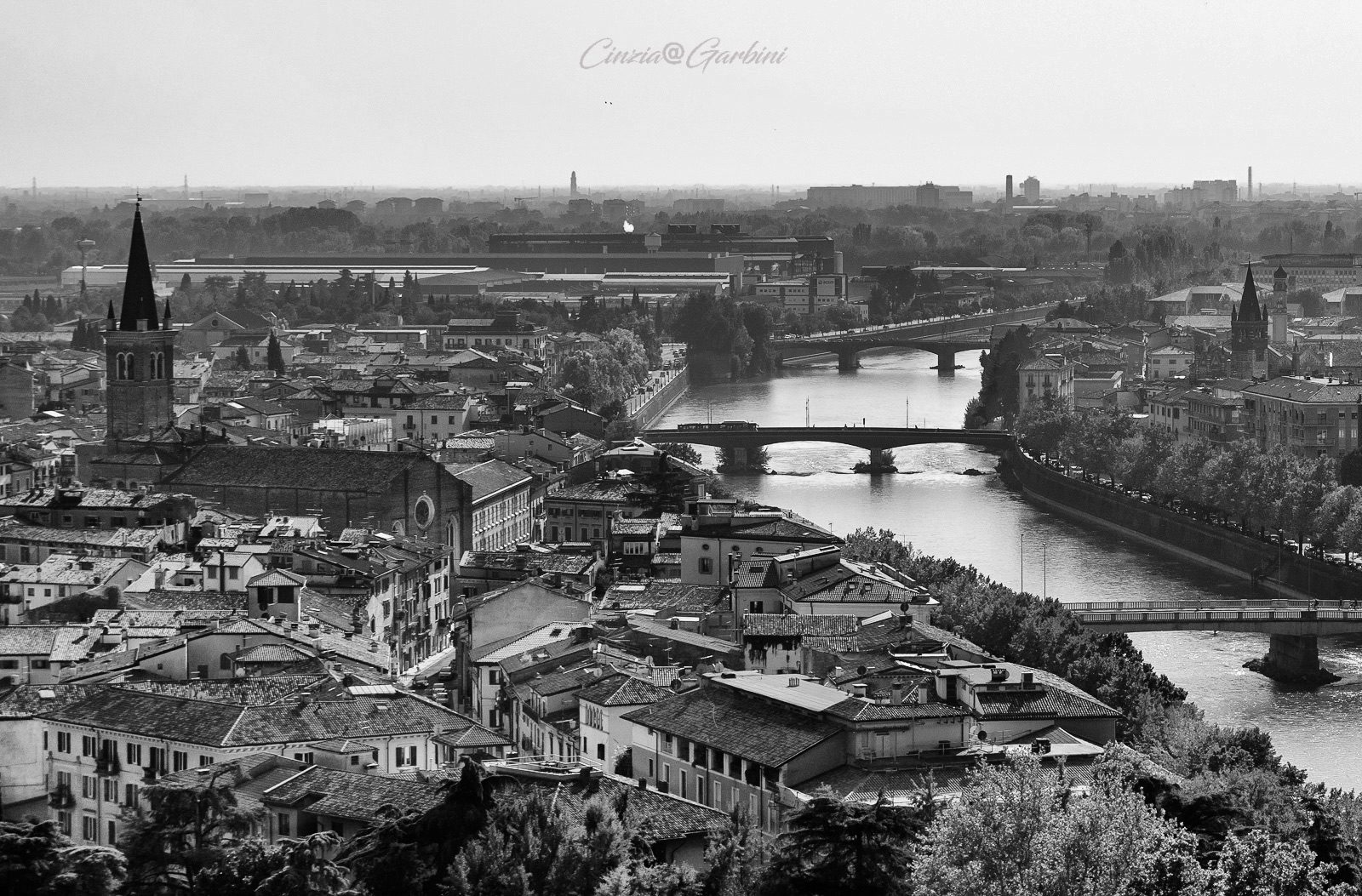 Good Day from Verona