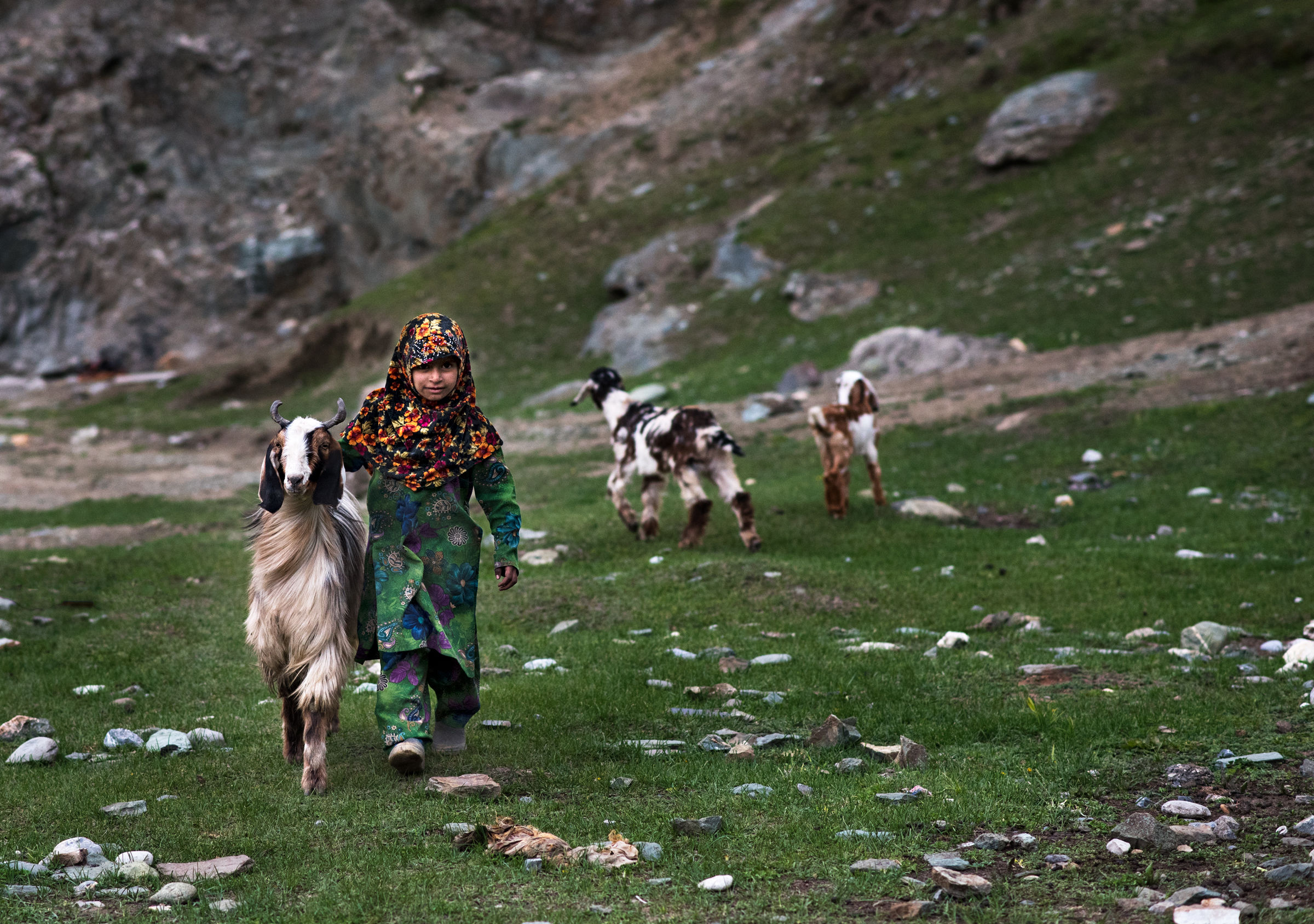 Nomadic Shepherds of Kashmir