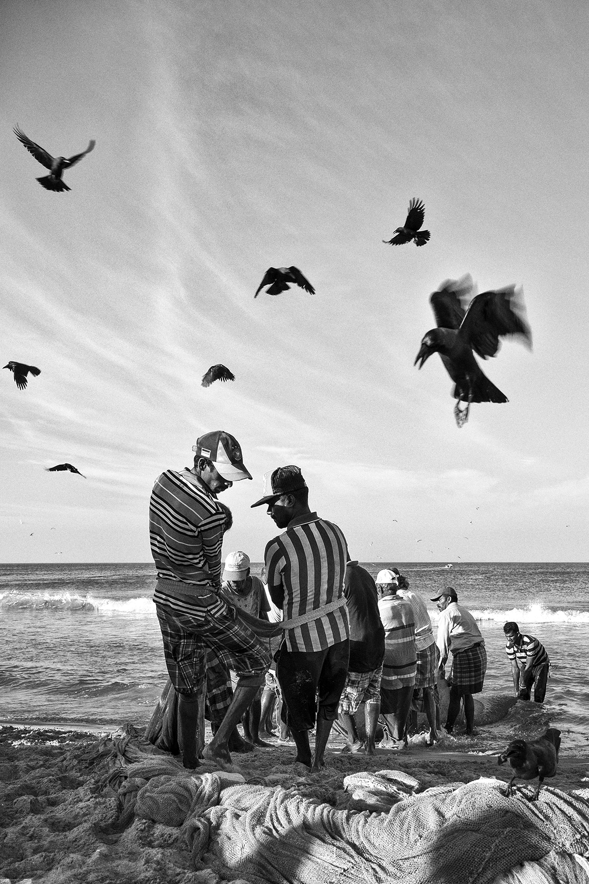 Fishermen and Crows