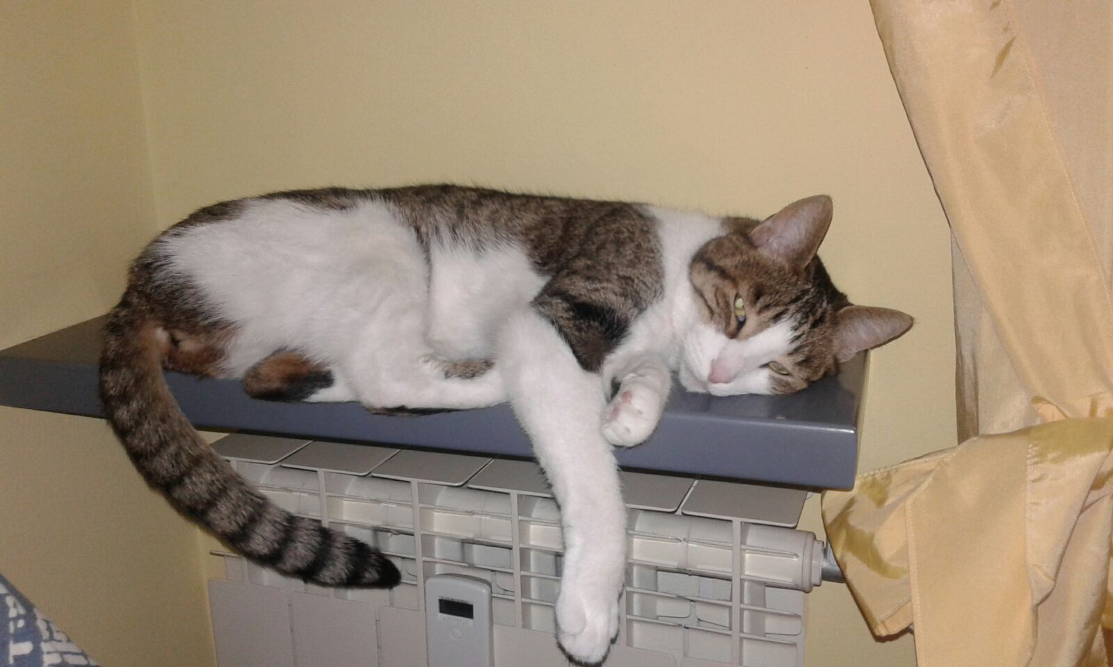 Il riposo del guerriero