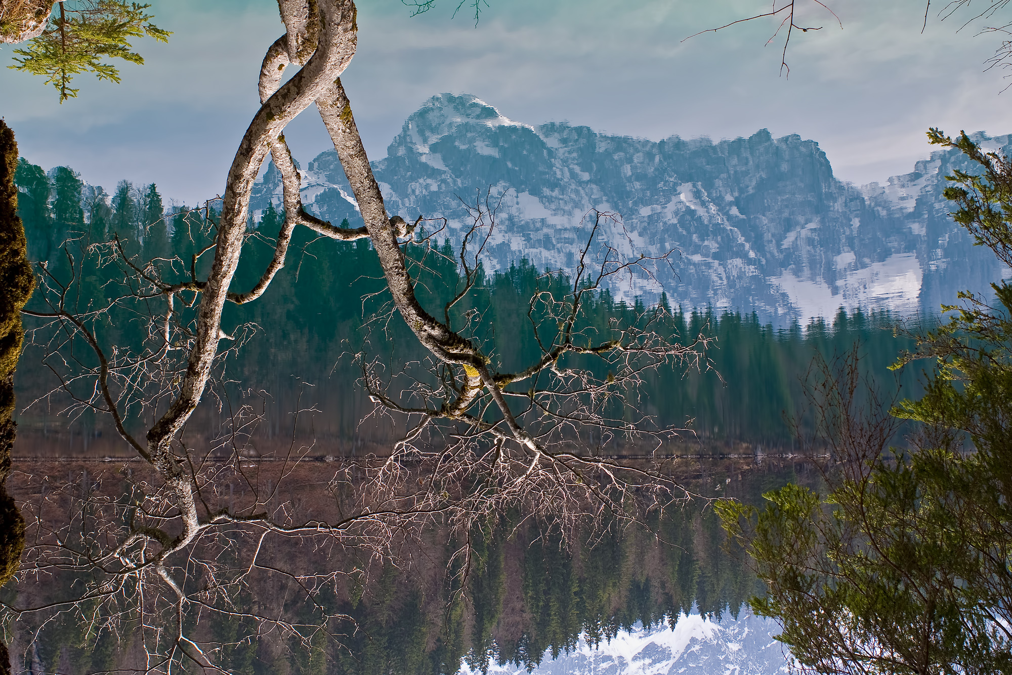 The Mangart by LGHI Fusine