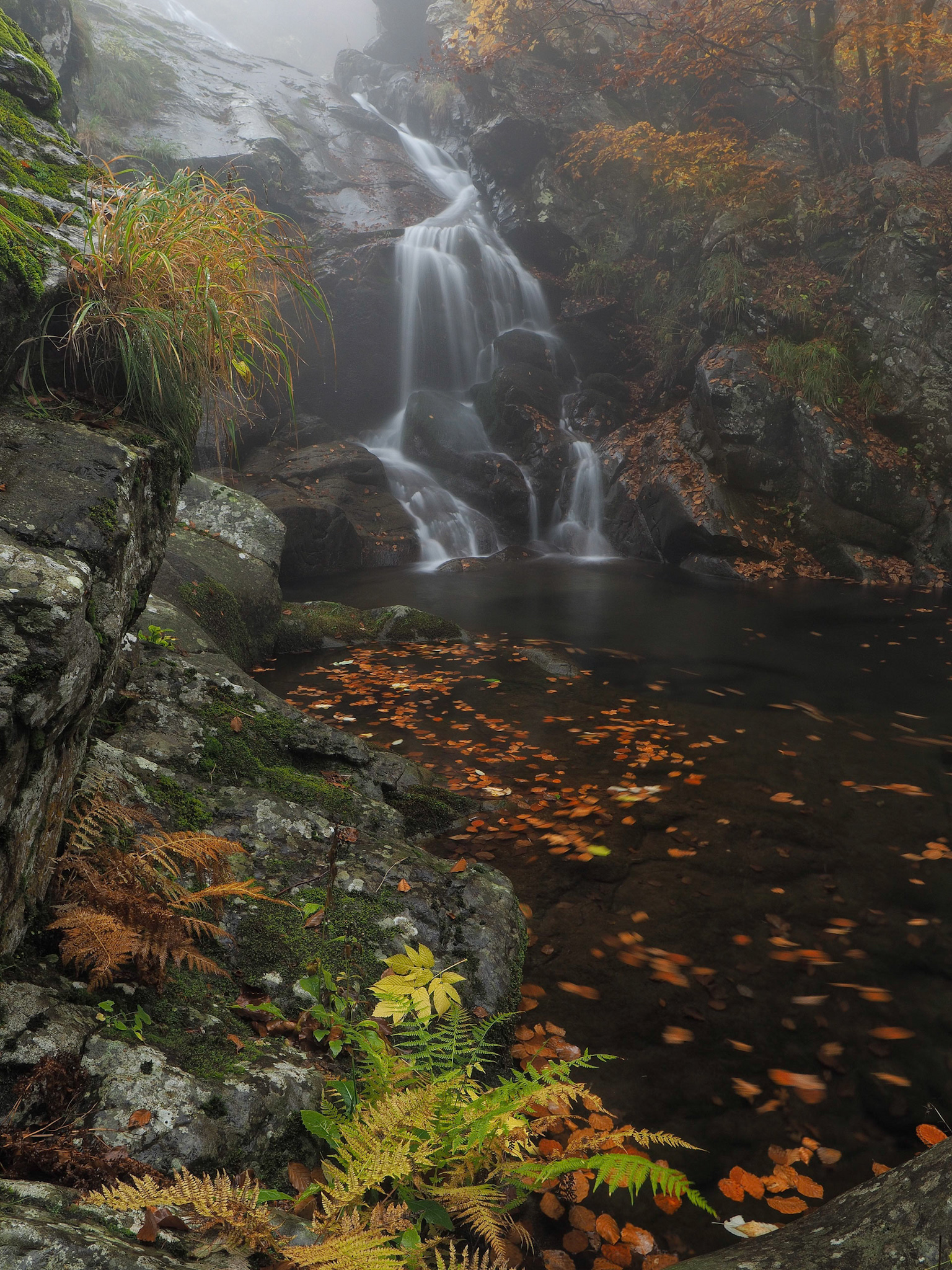 In cerca di emozioni